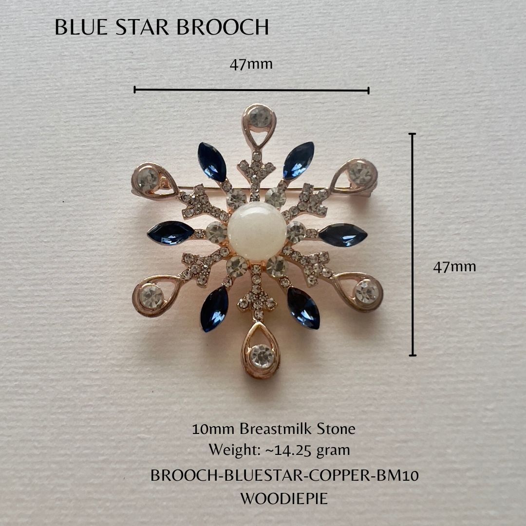 Blue star Brooch