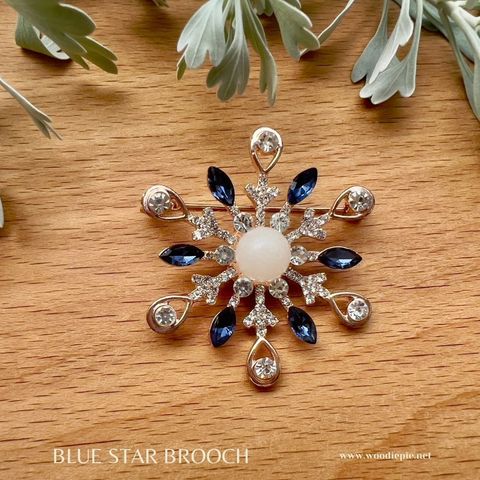 Blue star Brooch (3)