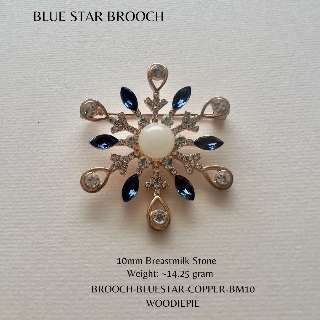 Blue star Brooch (2)