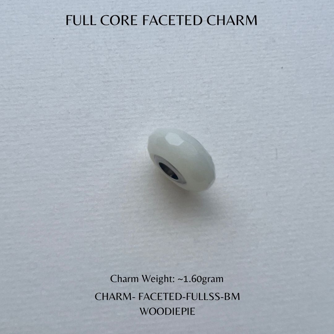 Full Stainless Steel Charm Fecated (4)