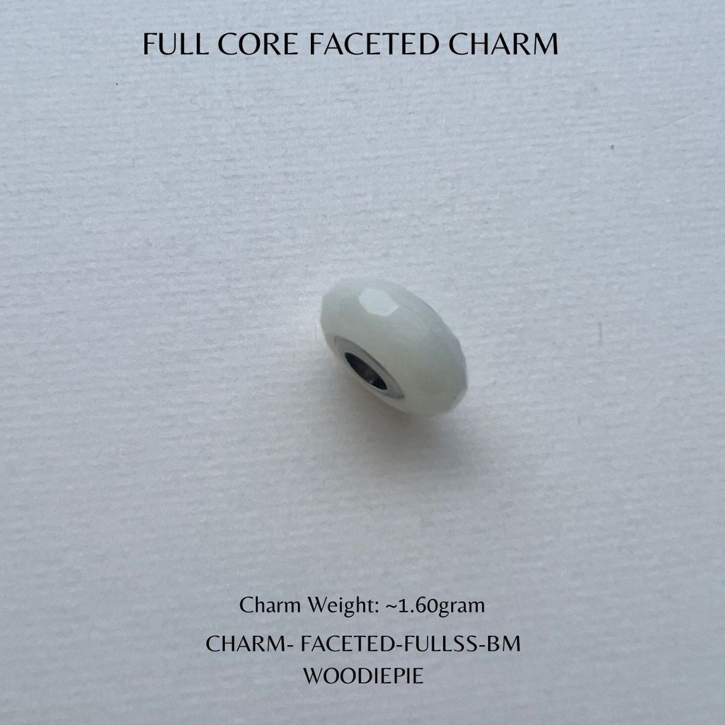 Full Stainless Steel Charm Fecated (4)