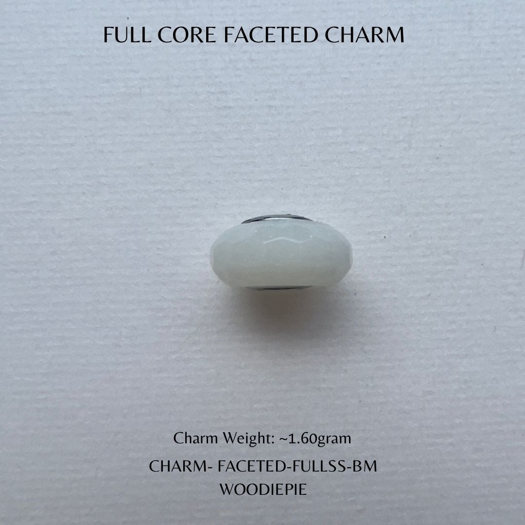 Full Stainless Steel Charm Fecated (5)