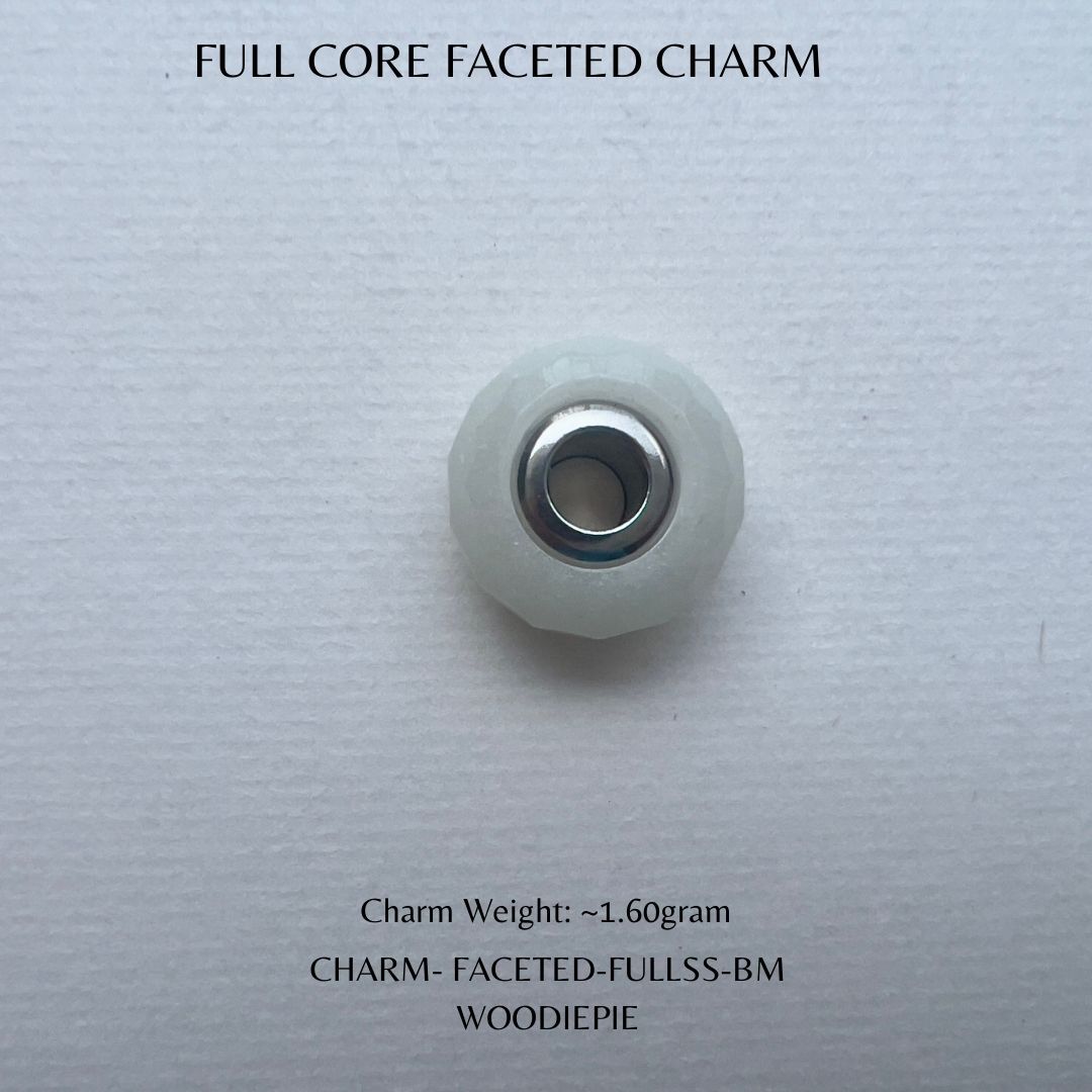 Full Stainless Steel Charm Fecated (3)