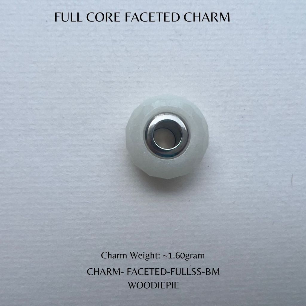 Full Stainless Steel Charm Fecated (3)