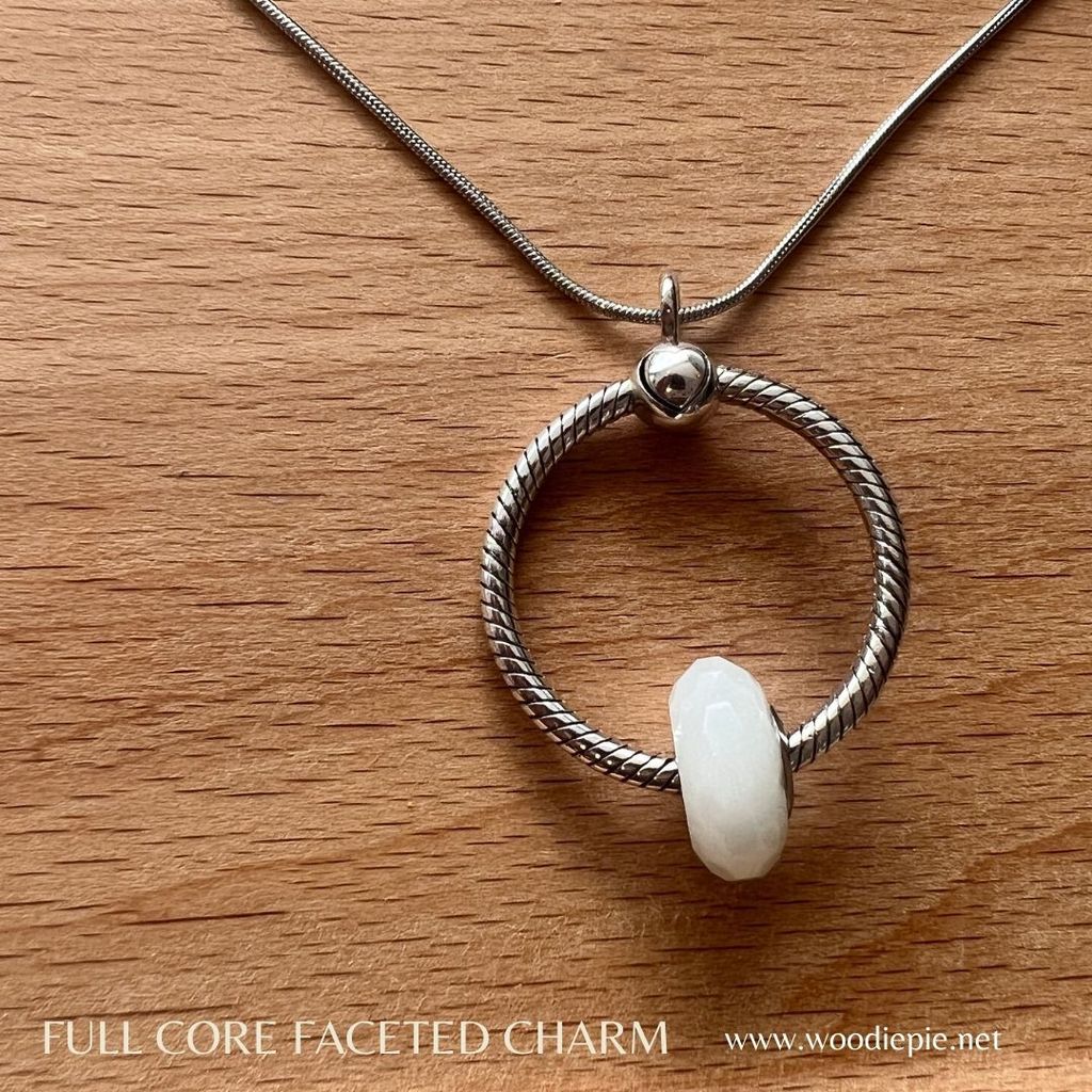 Full Stainless Steel Charm Fecated (17)