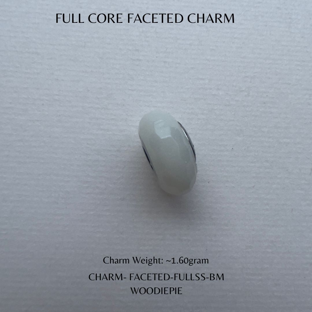 Full Stainless Steel Charm Fecated (2)