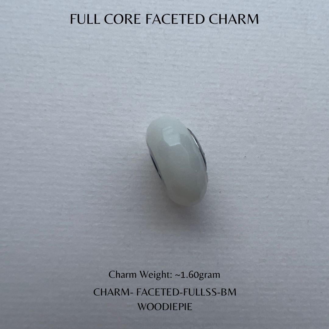 Full Stainless Steel Charm Fecated (6)