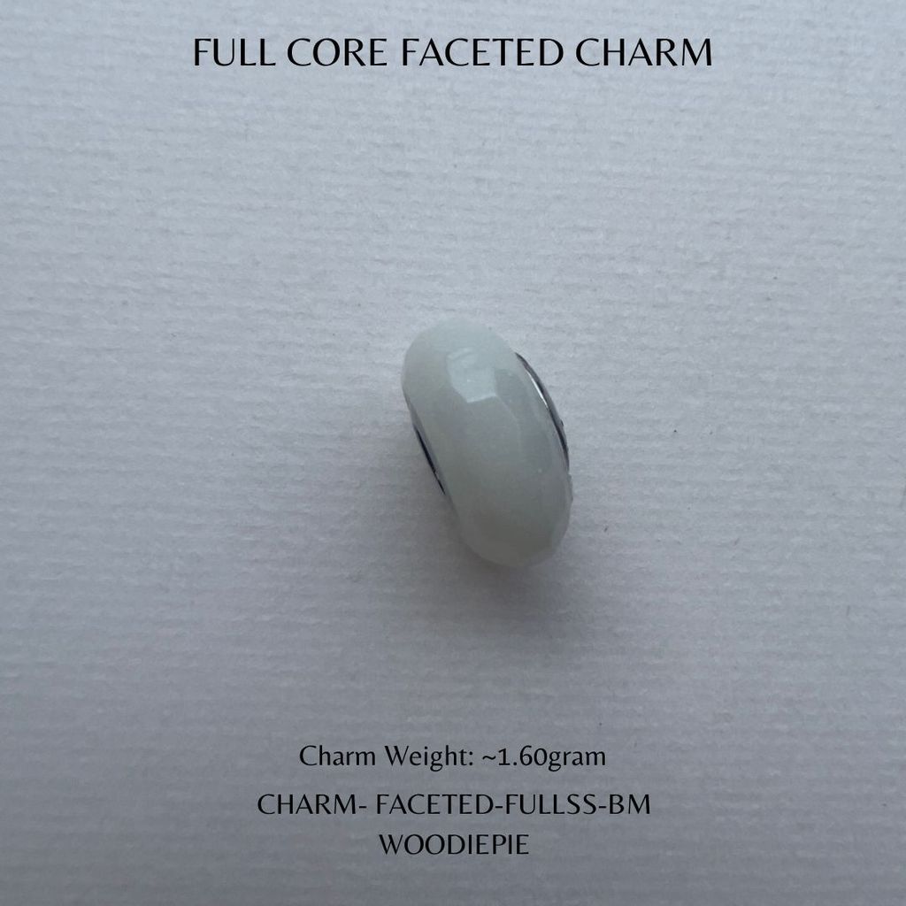 Full Stainless Steel Charm Fecated (6)