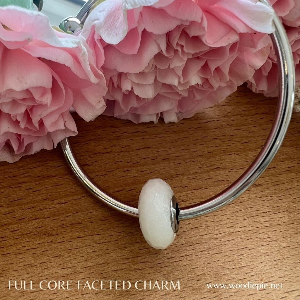 Full Stainless Steel Charm Fecated (13)