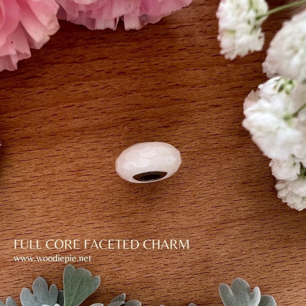 Full Stainless Steel Charm Fecated (11)