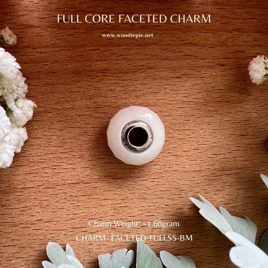 Full Stainless Steel Charm Fecated (8)