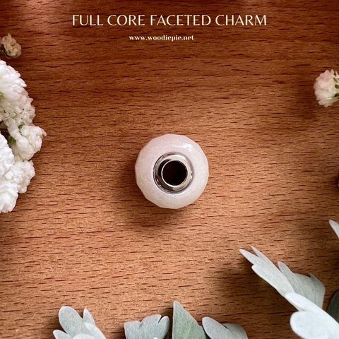 Full Stainless Steel Charm Fecated (7)