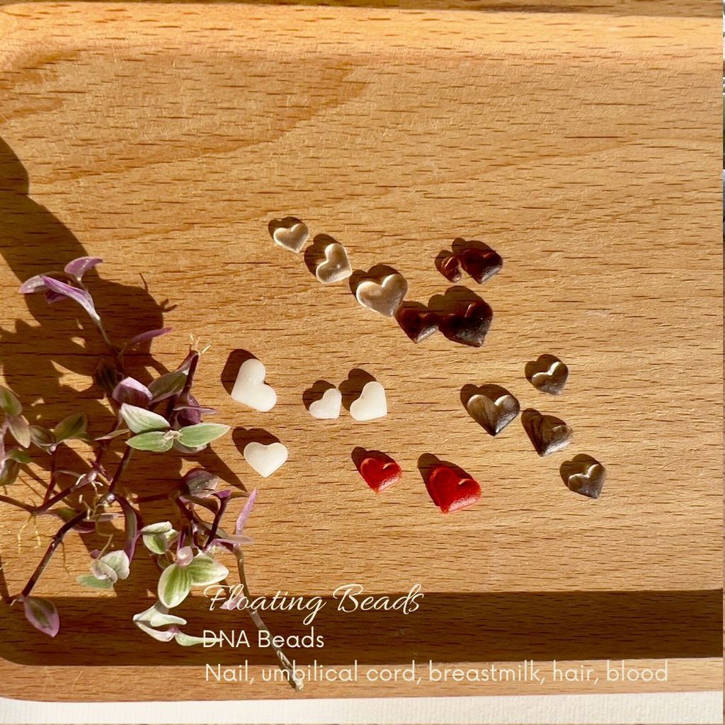 DNA Beads 1 (7)