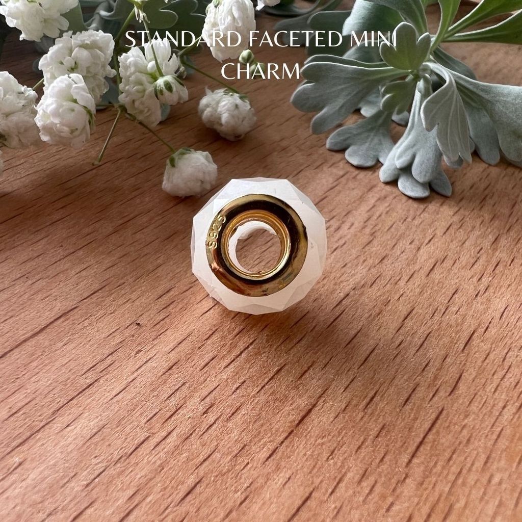 Standard Faceted Mini Charm (8)
