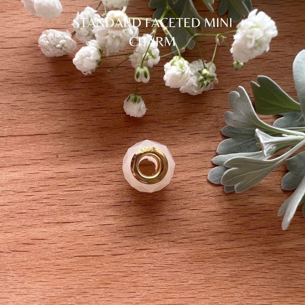 Standard Faceted Mini Charm (6)