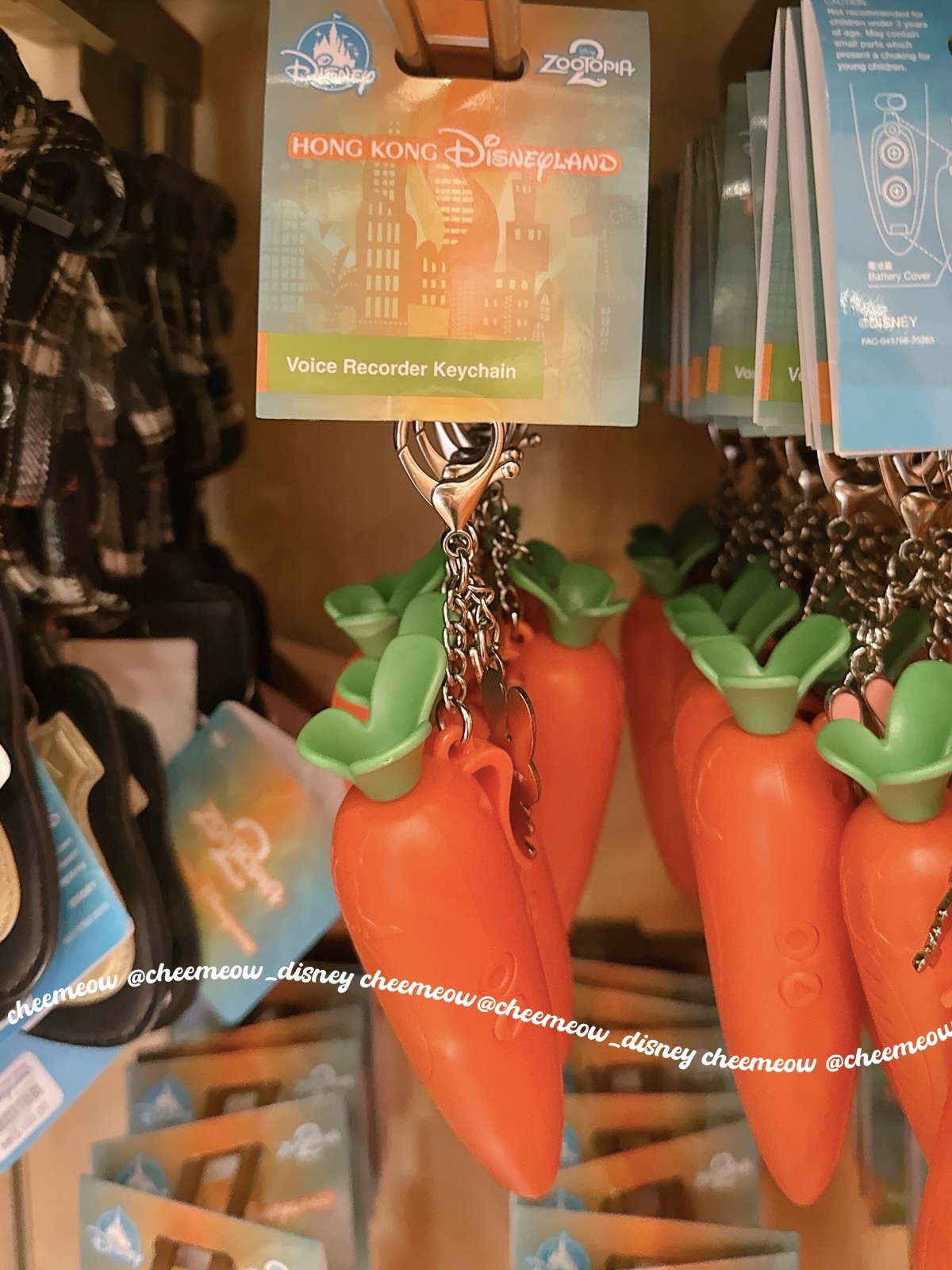 image_5755EDA1-0E7C-4008-B0CF-BBC19362977B_1772876732