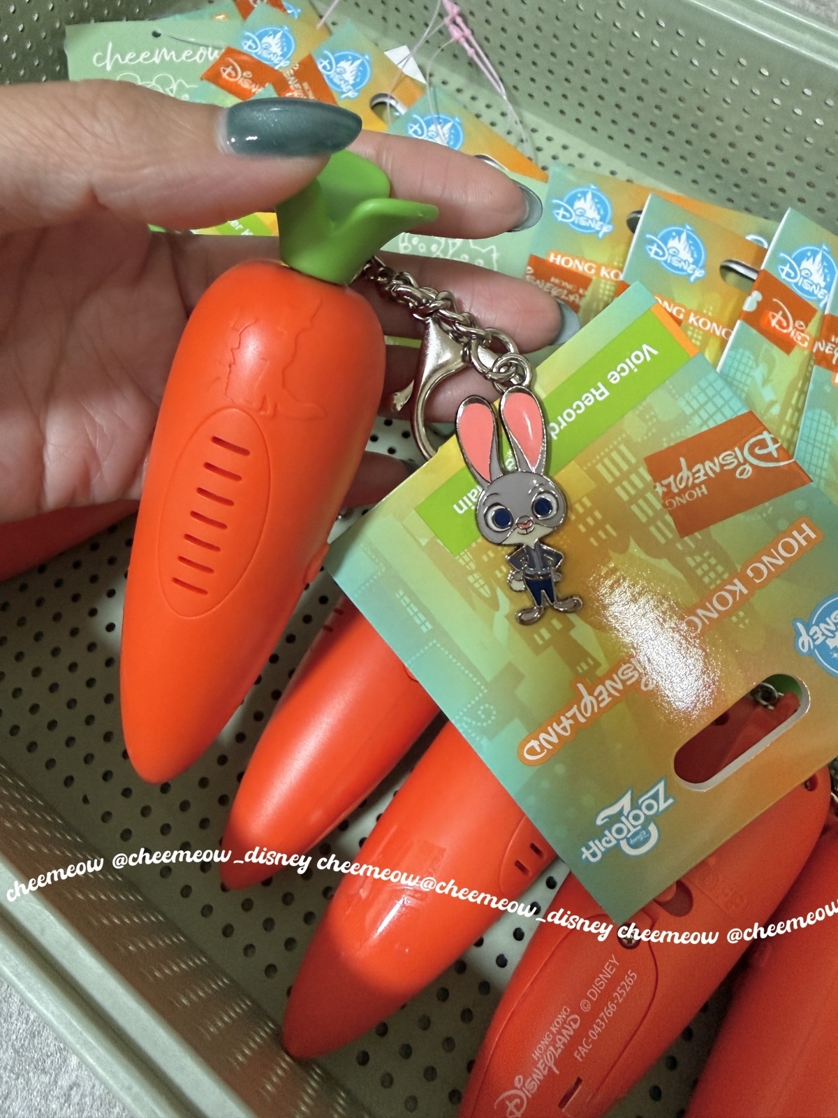 image_C0A8069E-5033-4434-A37C-3E01BC930352_1772876732