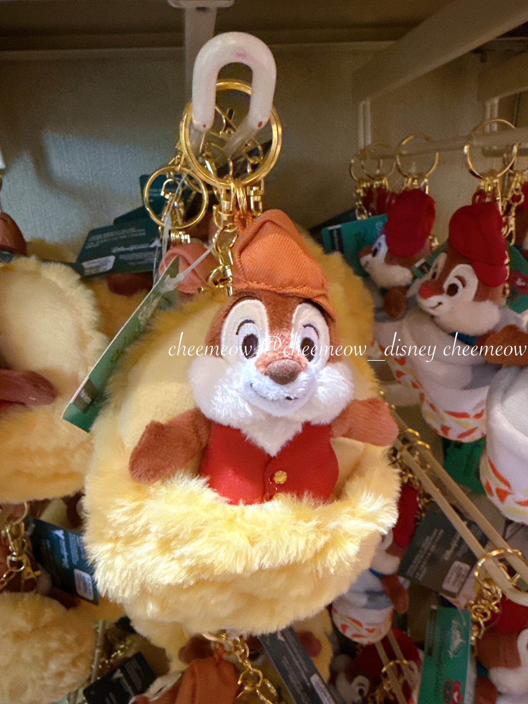 IMG_9709