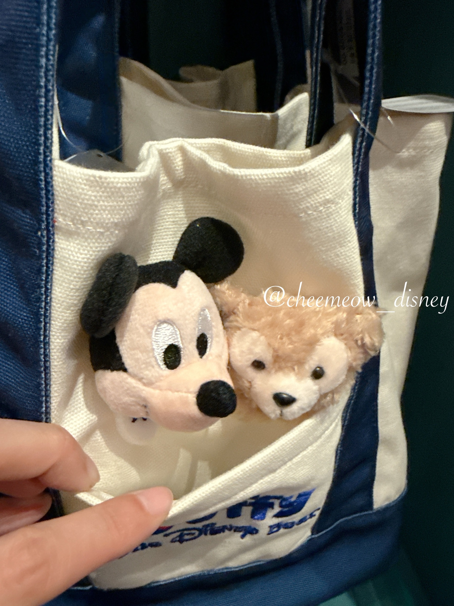 image_23A8EBFD-3D20-47DB-B54D-18EE85EFA700_1778342990