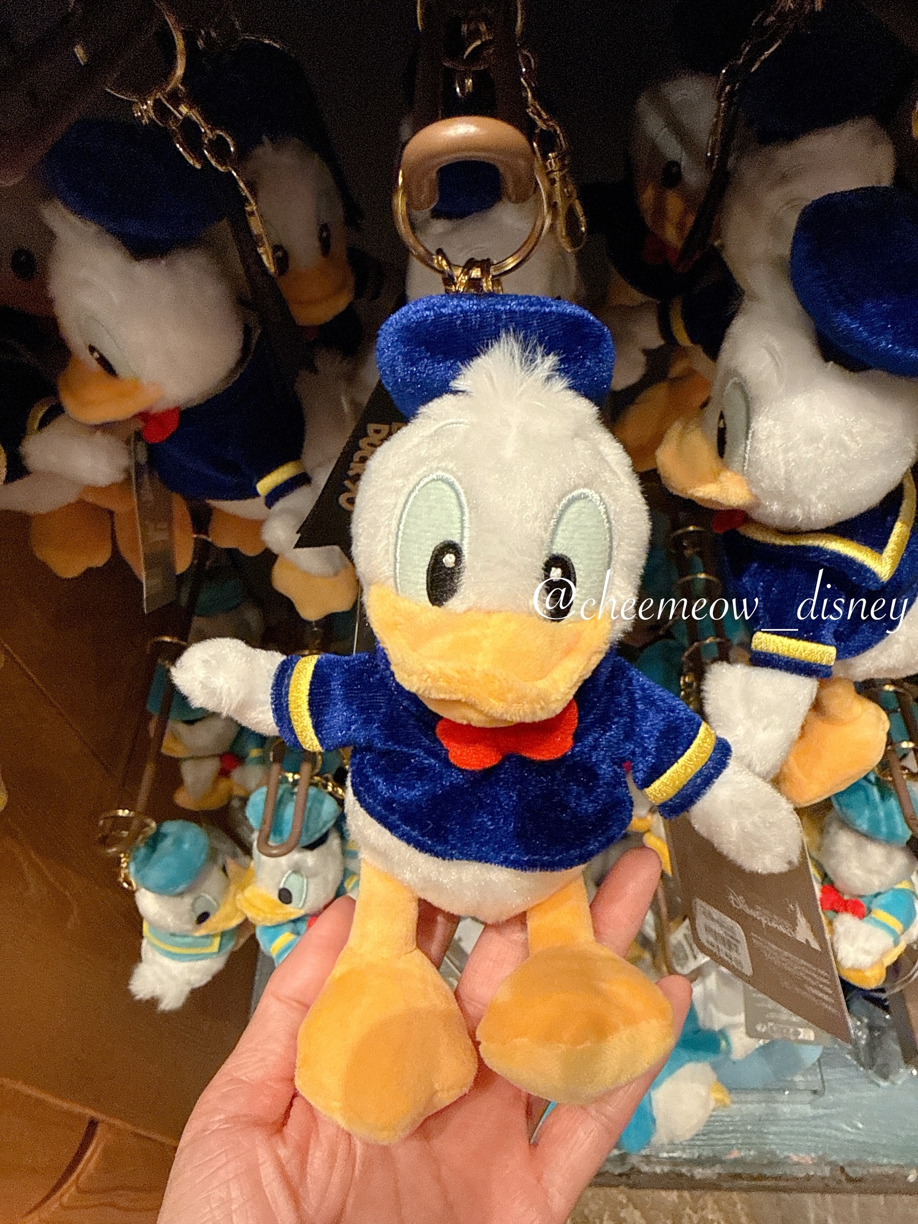 image_5A246987-85D9-44B0-A2D7-6E5FF741F755_1778397086