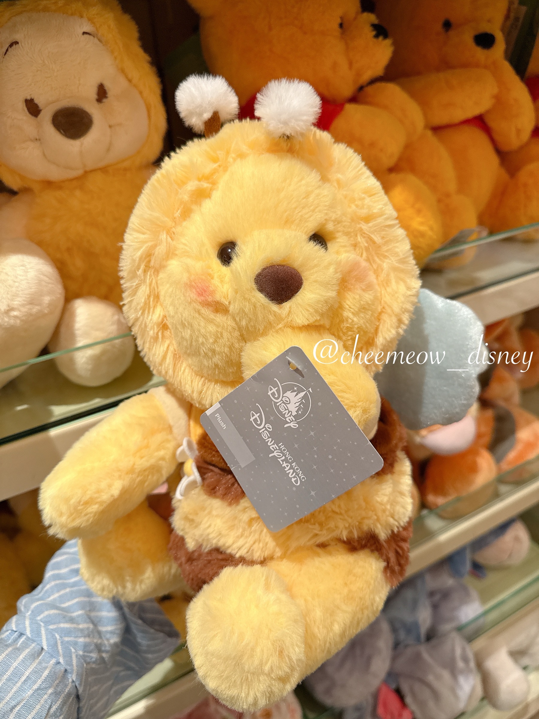 image_6C9865B2-260C-417B-B1F1-4B77F652C288_1778397492