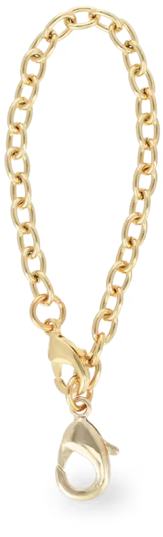 imgi_50_chain-gold
