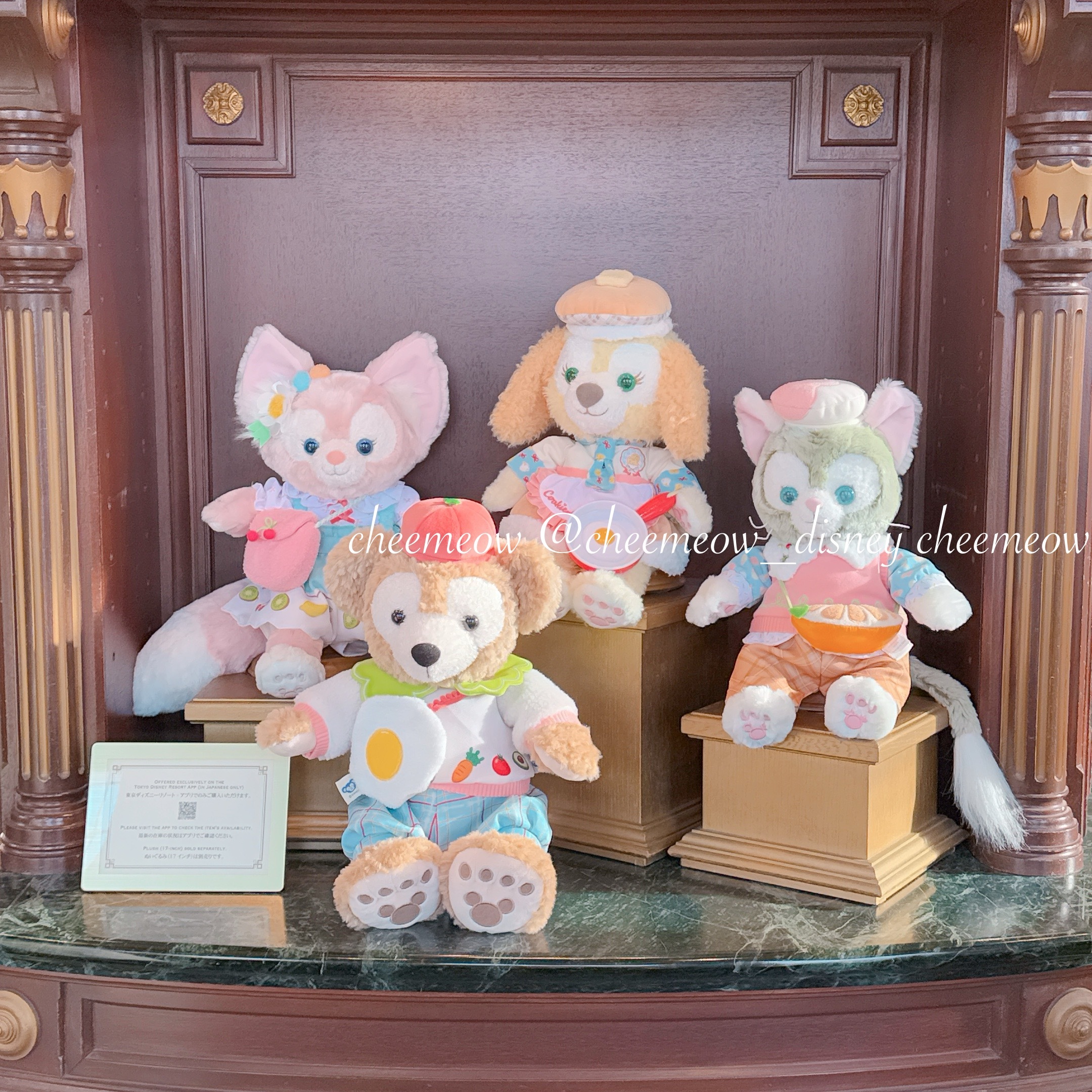 IMG_4372-1737215980218