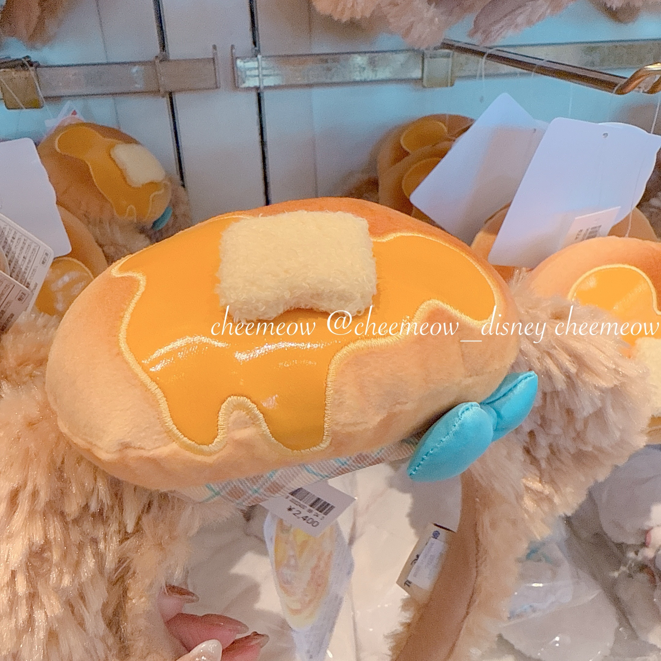 IMG_4436-1737216342472