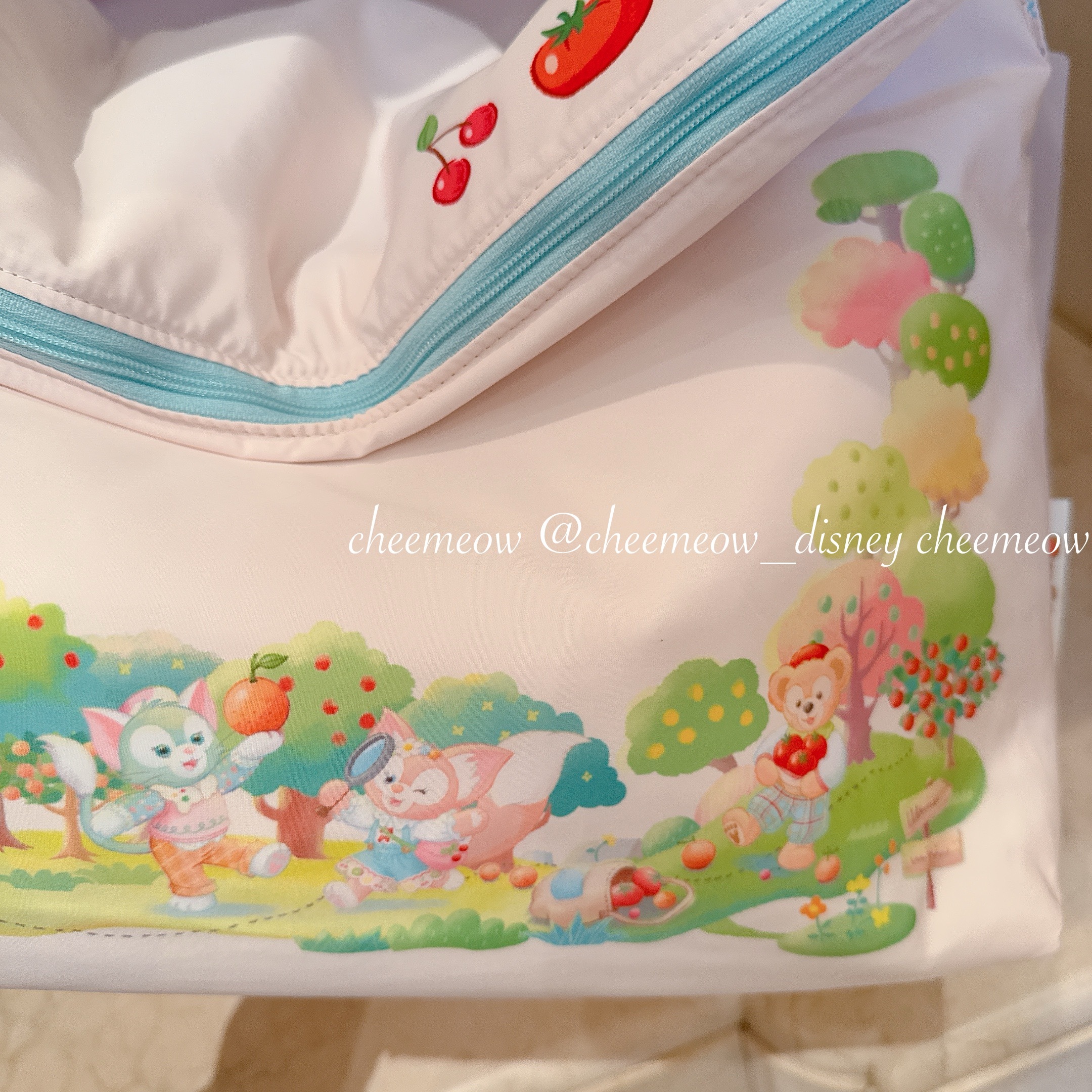 IMG_4426-1737216900615