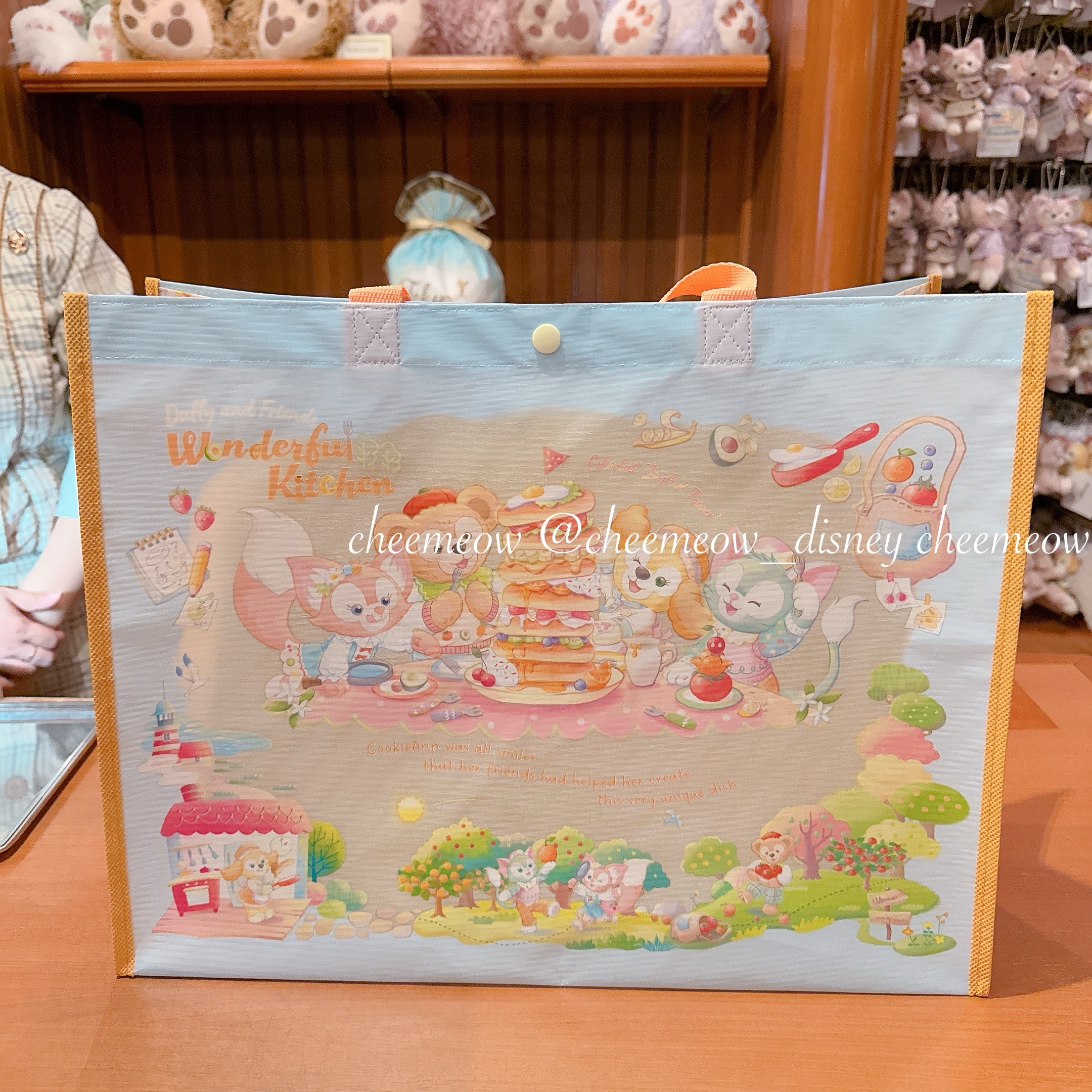 IMG_4523-1737217239144