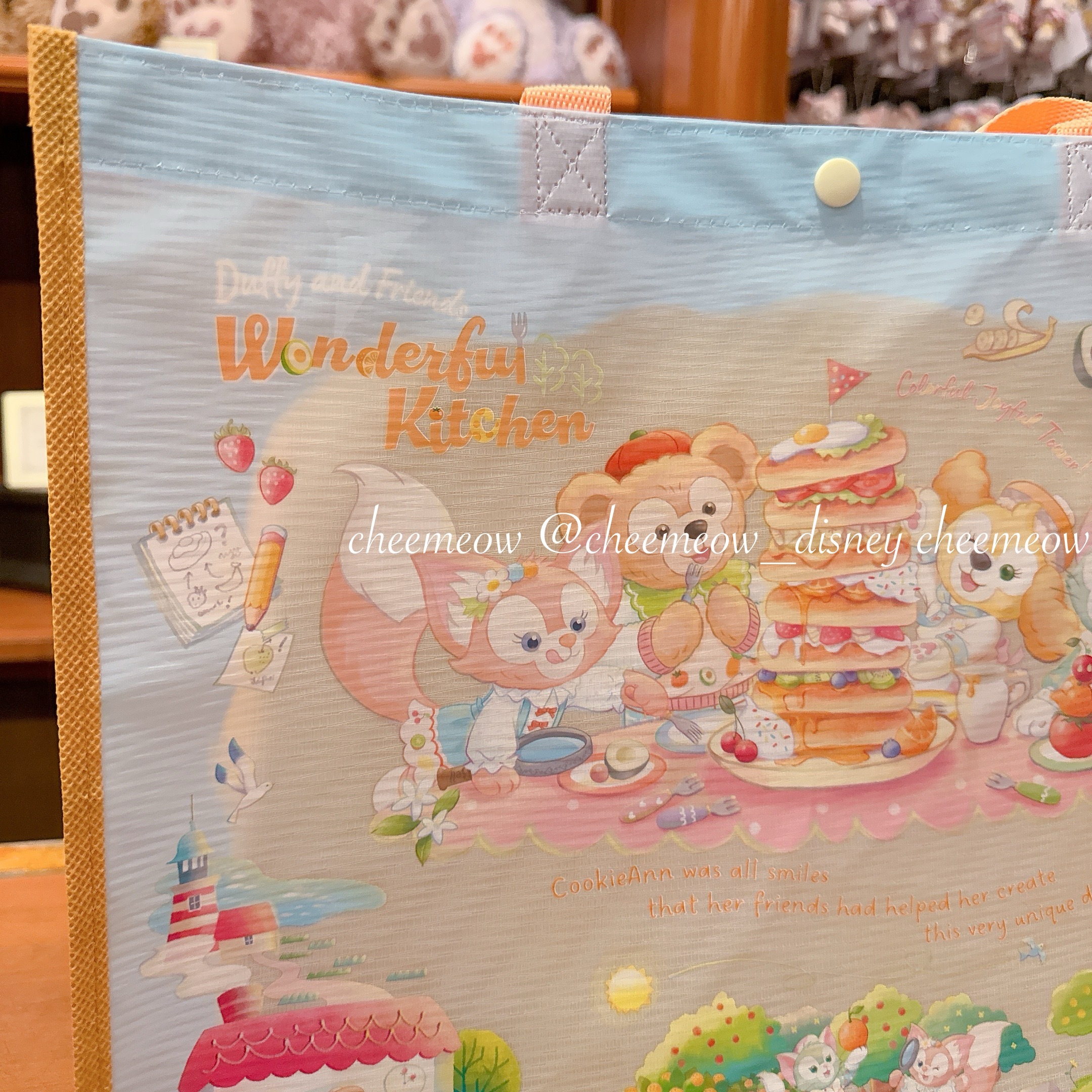 IMG_4524-1737217239142