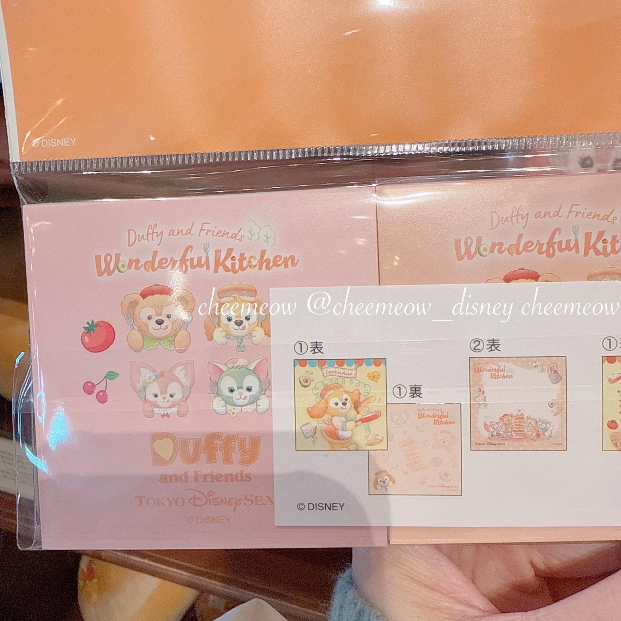 IMG_4391-1737217671674