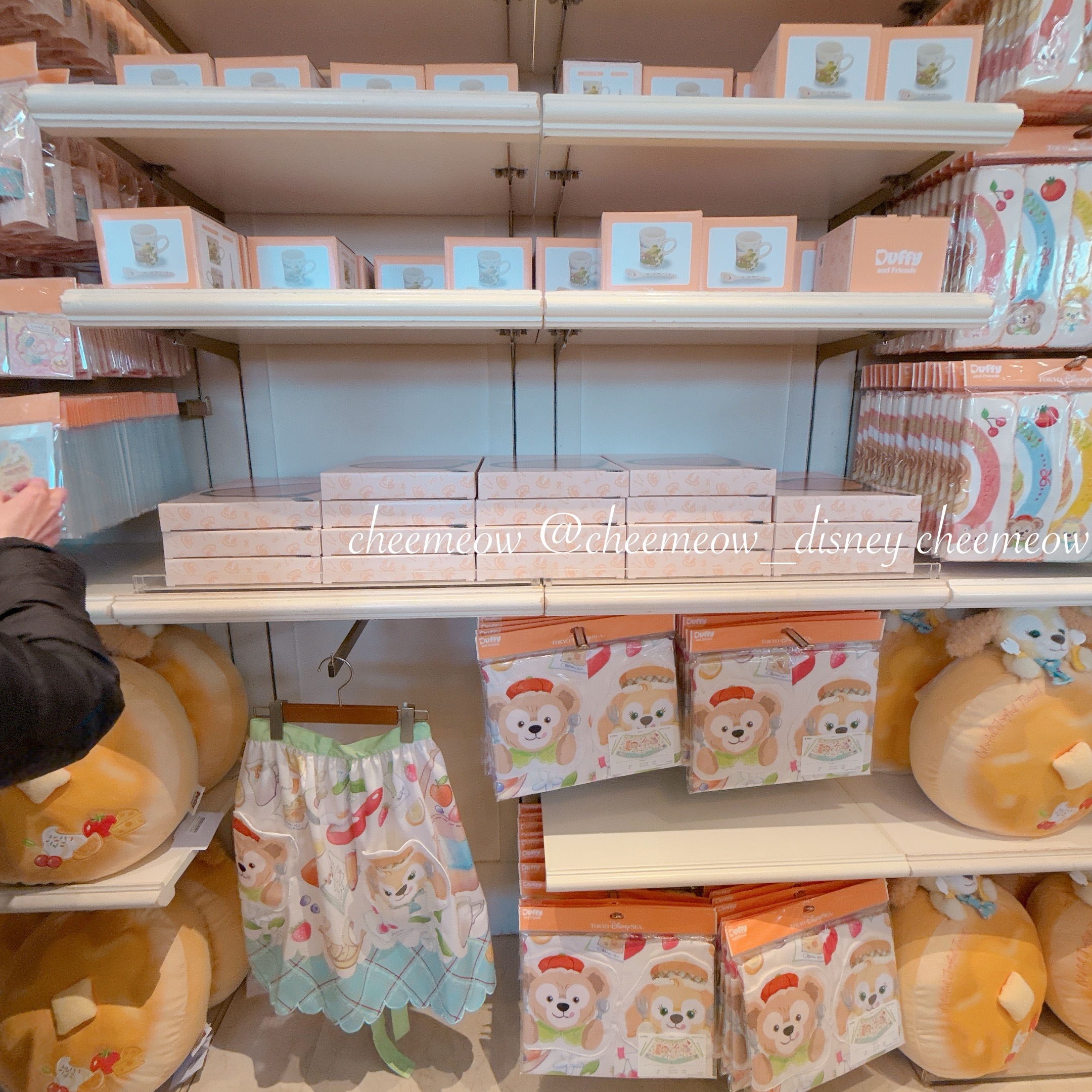 IMG_4458-1737217935260