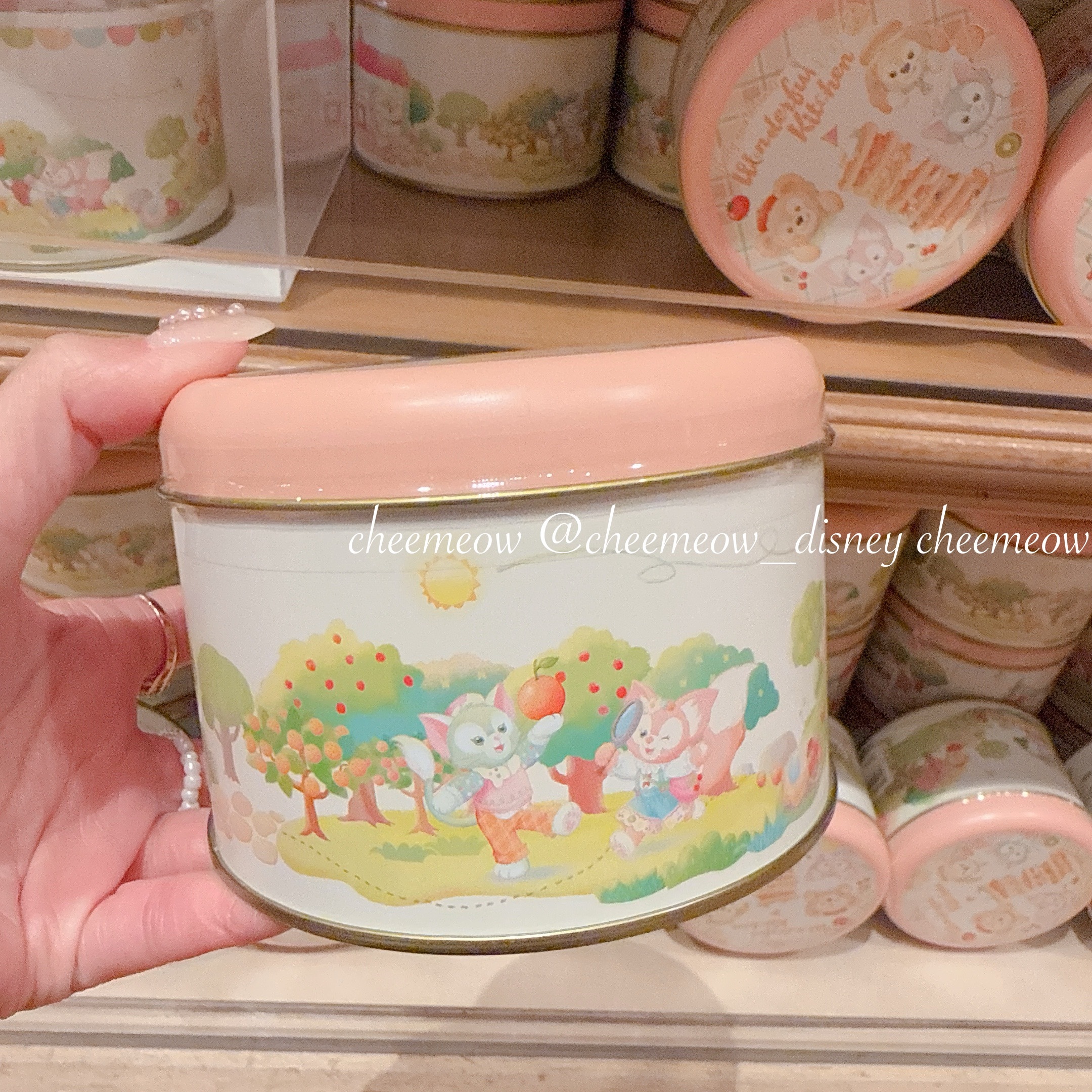 IMG_4097-1737218419395