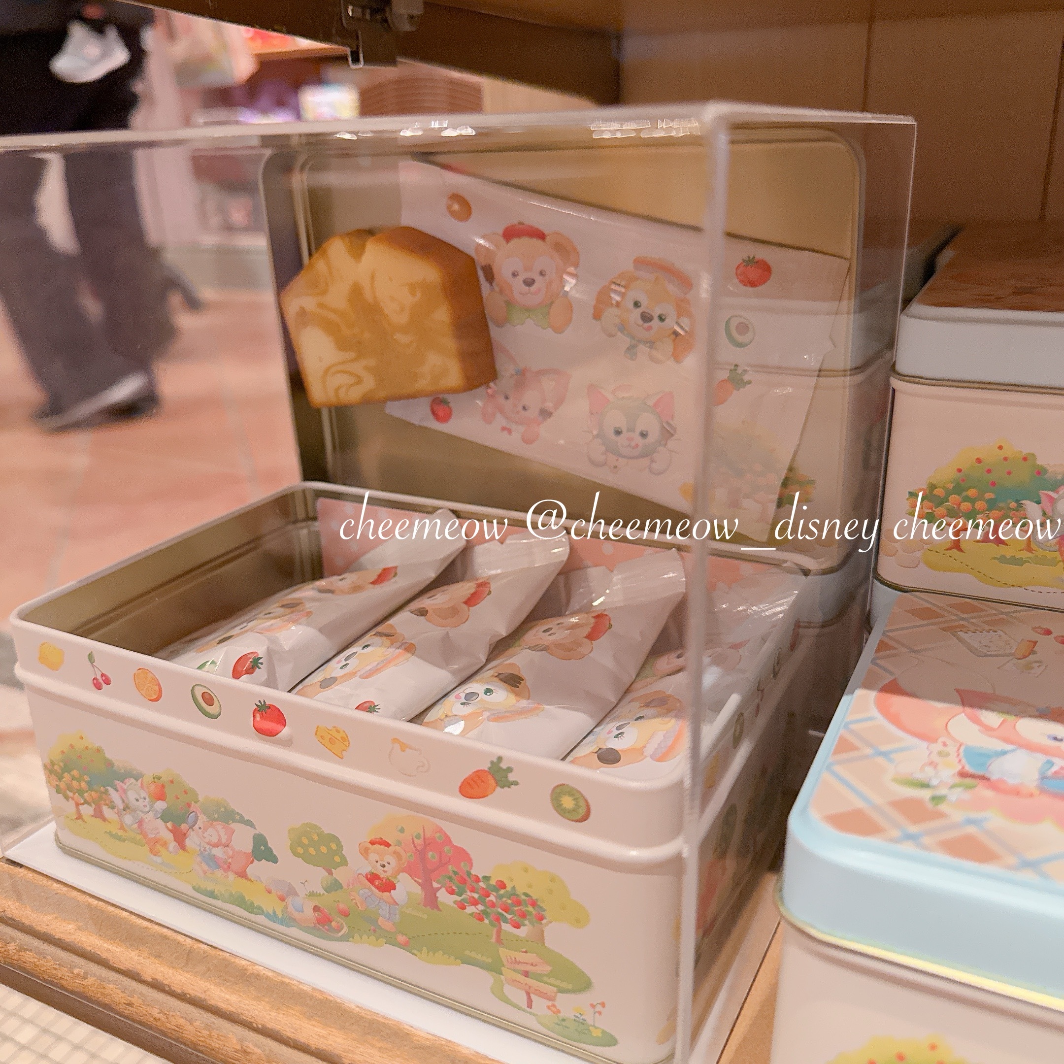 IMG_4088-1737218530420