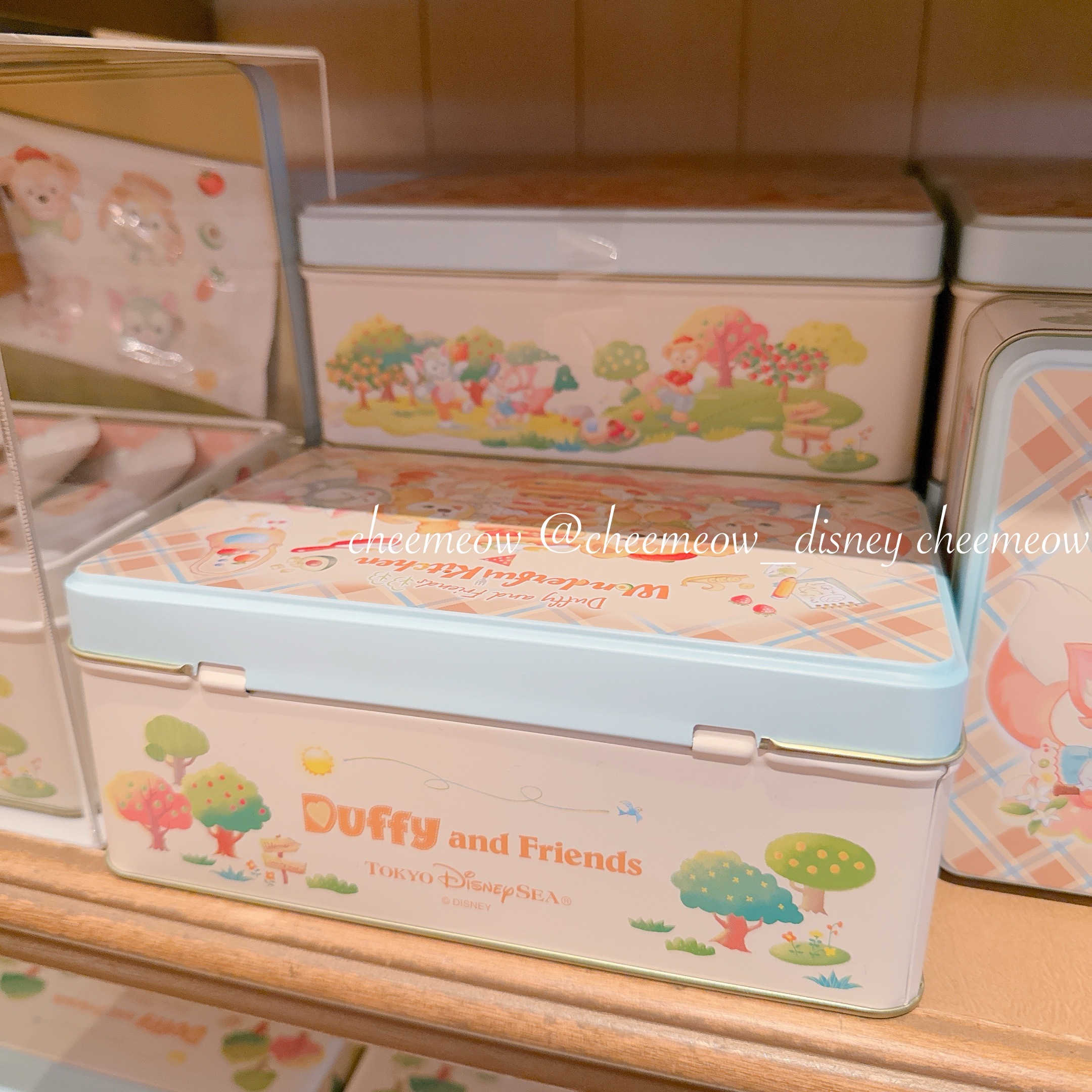 IMG_4085-1737218530414