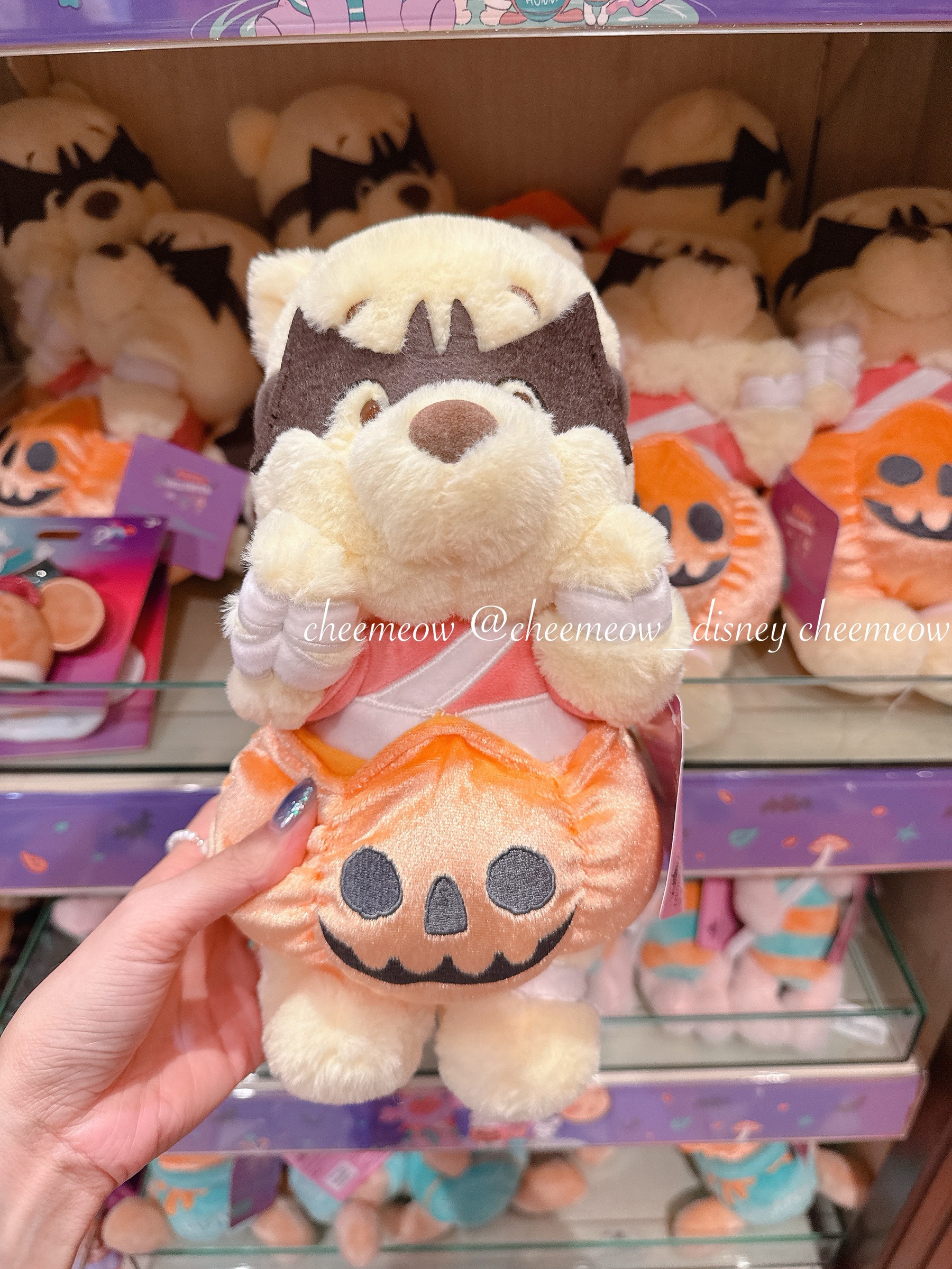 image_969FCE27-515E-4343-B584-E0C1ADE75BF4_1762008307