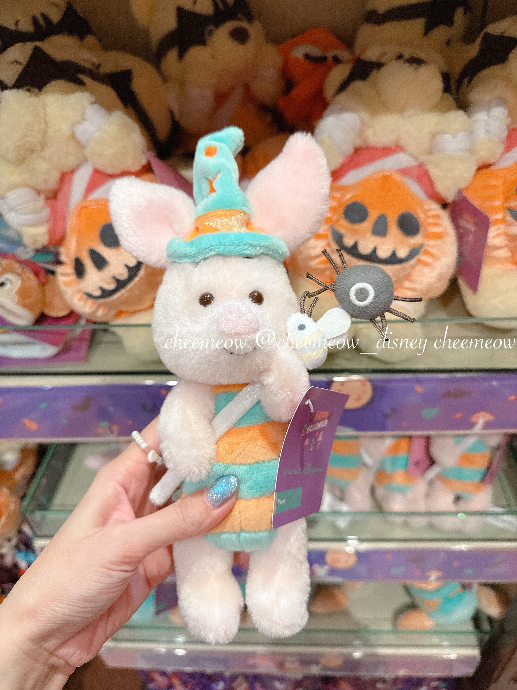 image_2CE0B877-AC0C-463D-BF99-AE2478E8C384_1762008307