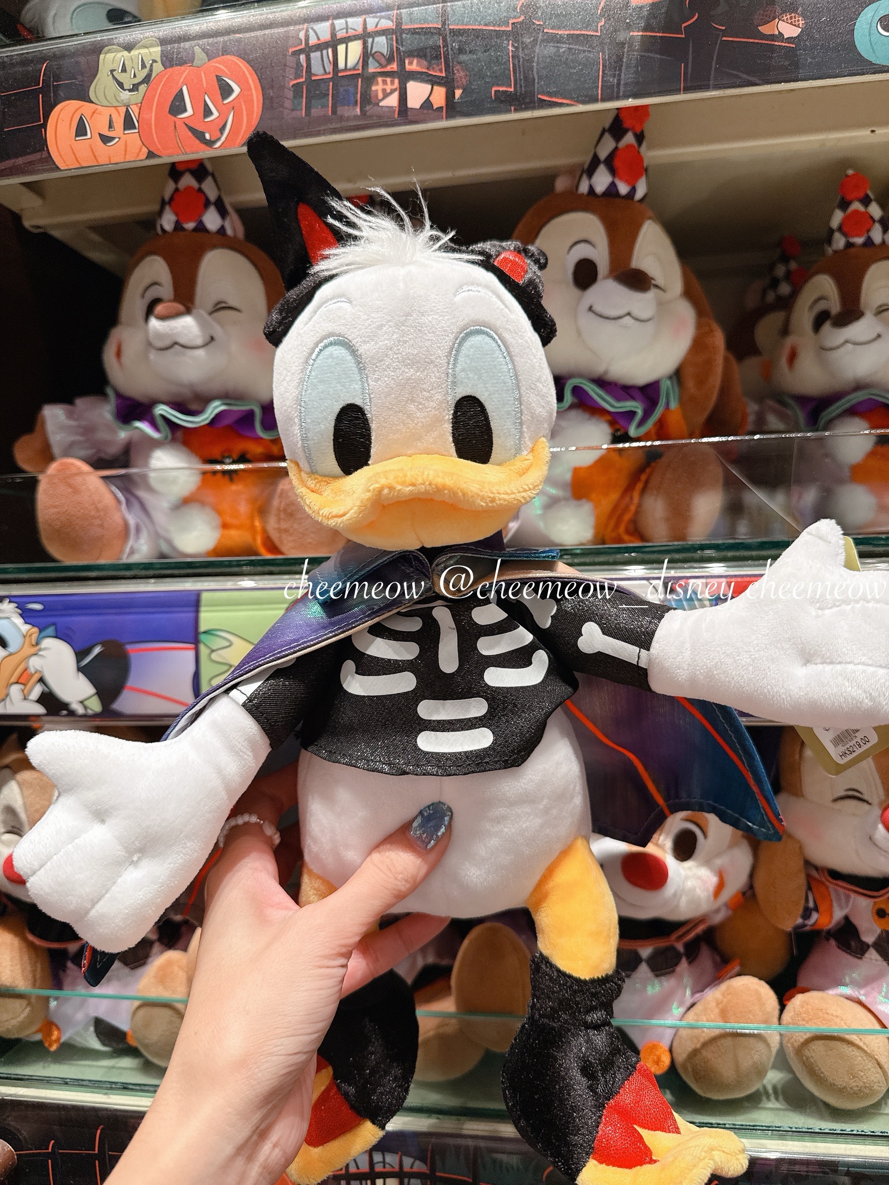 image_29A3EE7B-D1E4-493C-A4A3-97BDB183AD43_1762008307