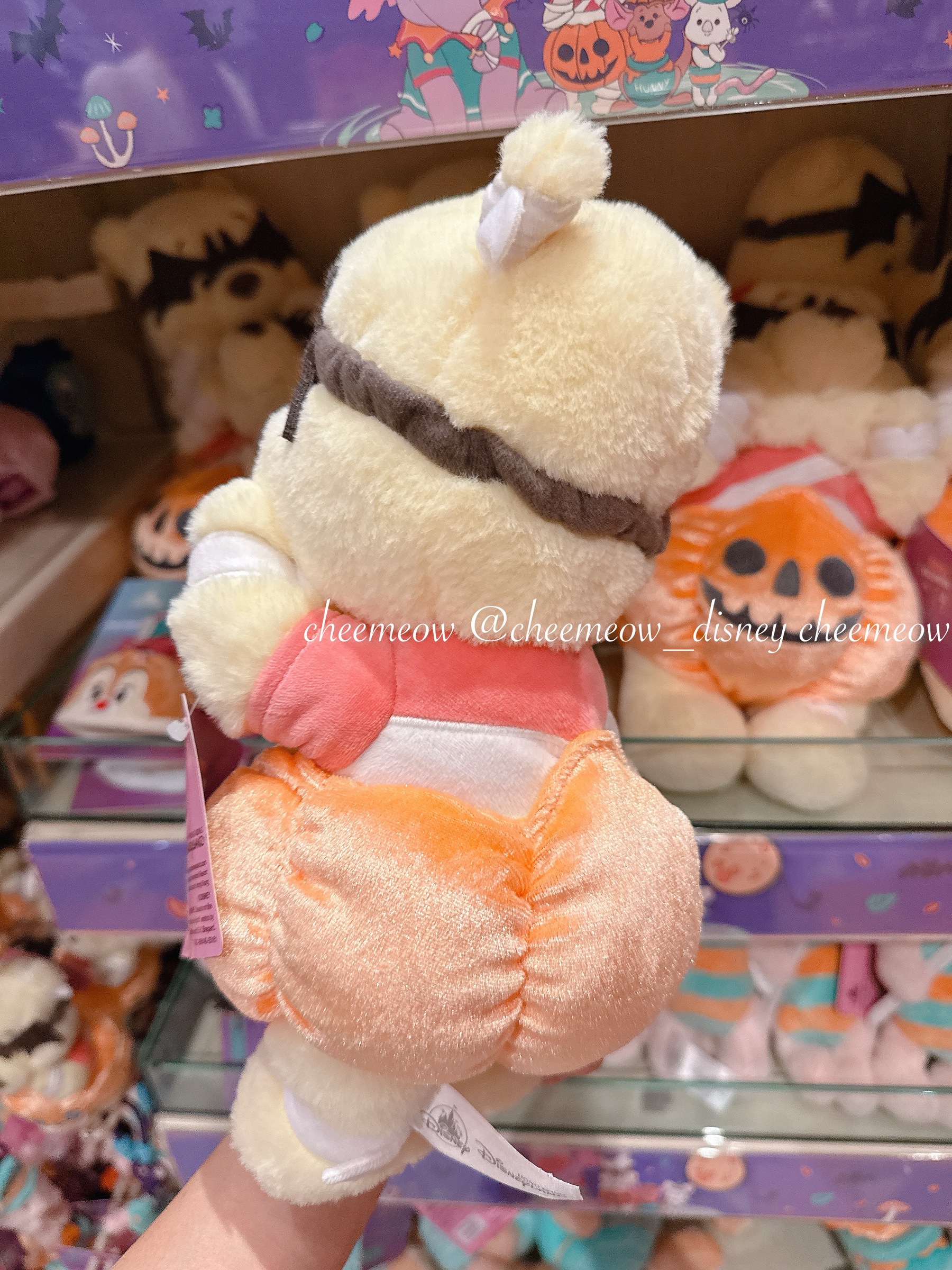 image_6C63A8ED-CC96-43E3-AC9D-9530DB5550EE_1762008307