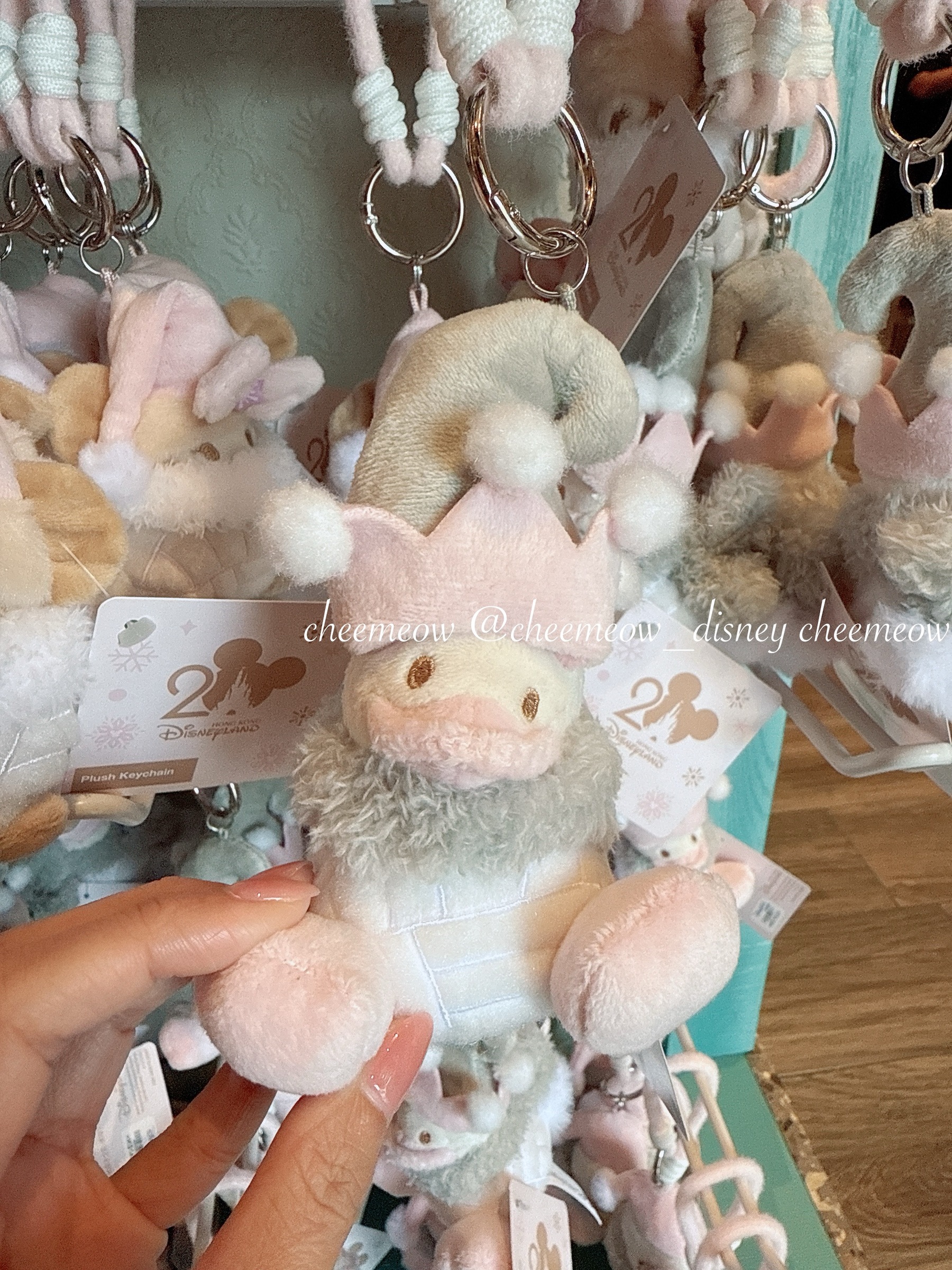 image_6C22E017-80BB-422A-927A-E5CDB6F75B74_1764735846