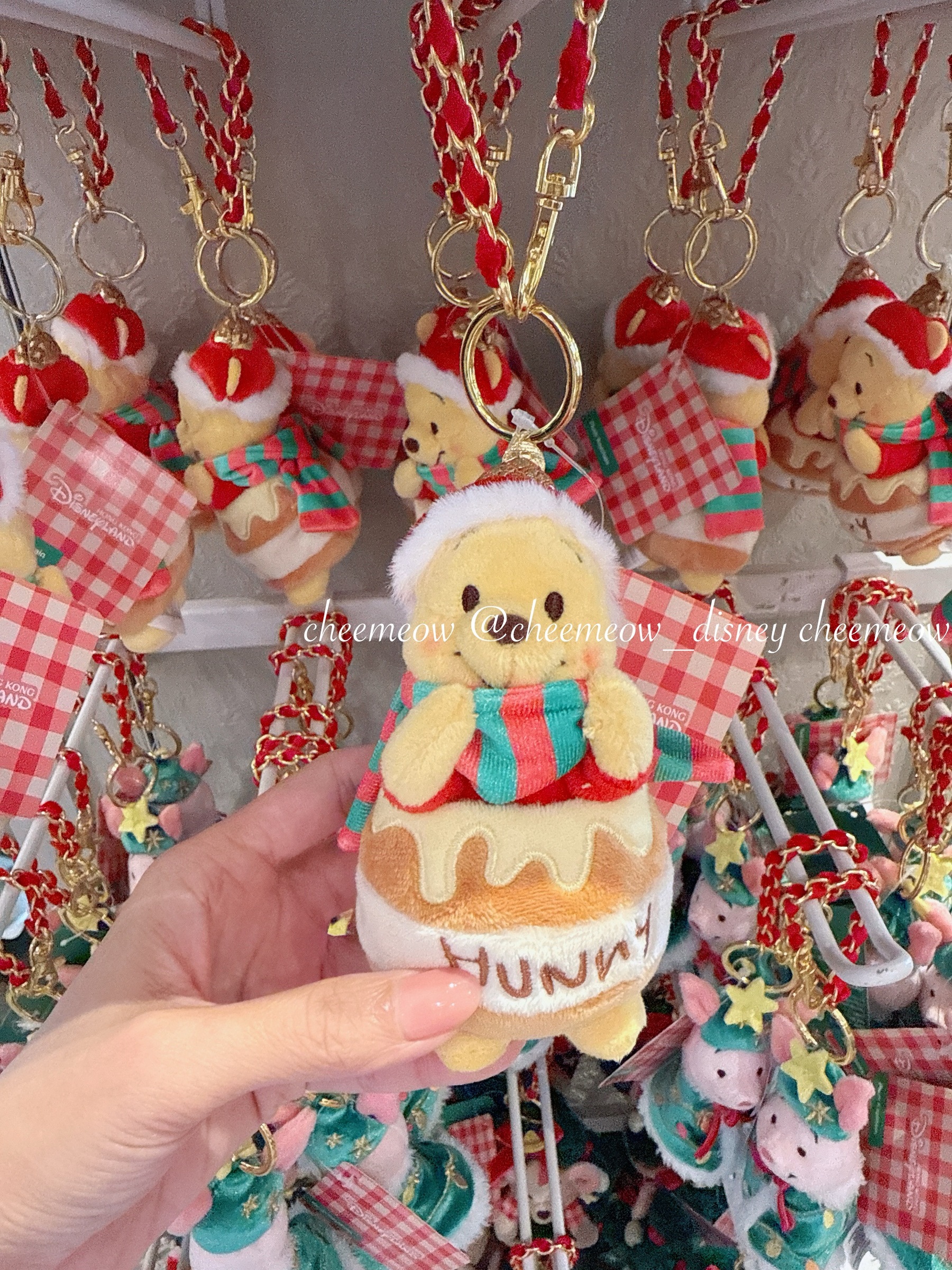 image_3EBAE217-1EAF-4F4E-A40D-FB0D820179DC_1764737521