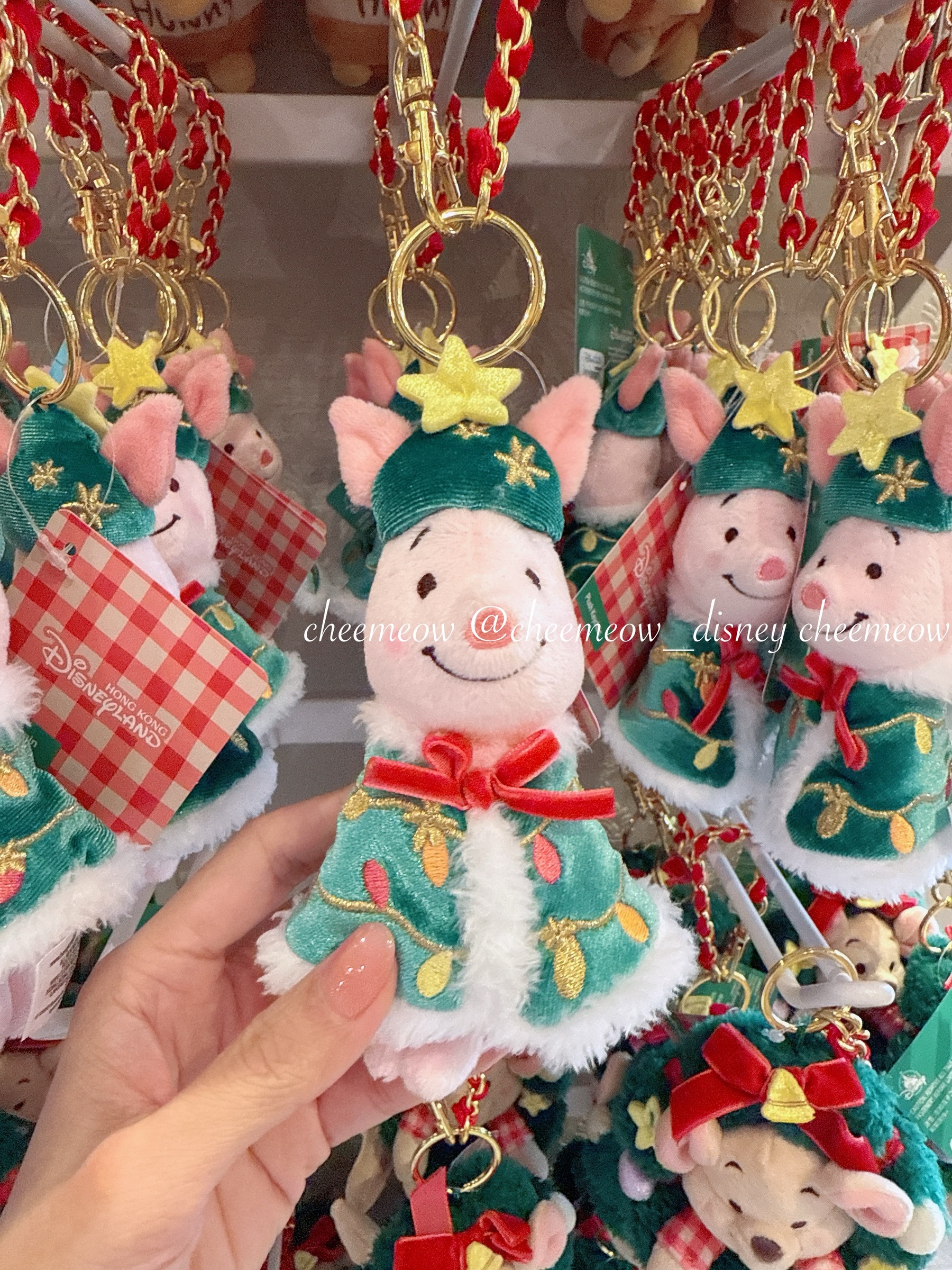 image_DA3D033F-1F2A-41E7-A62C-9BA1E4624157_1764737599