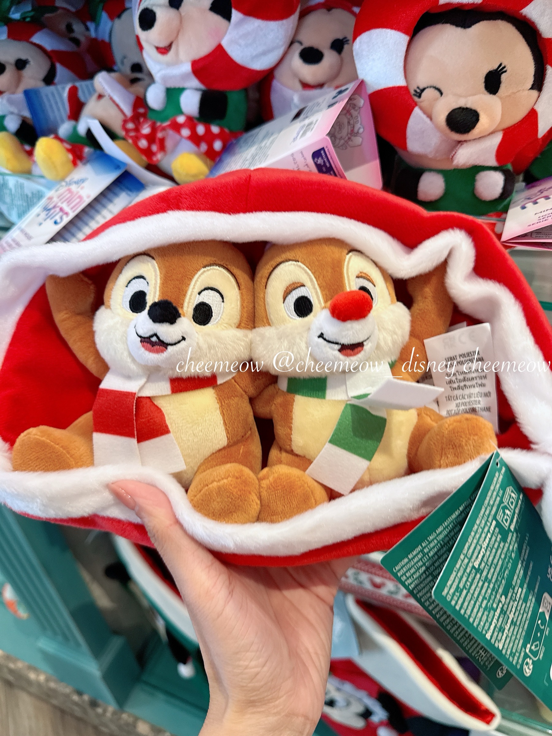 image_D09FCC65-260D-45BE-B2C8-CE608268D4FB_1764737943