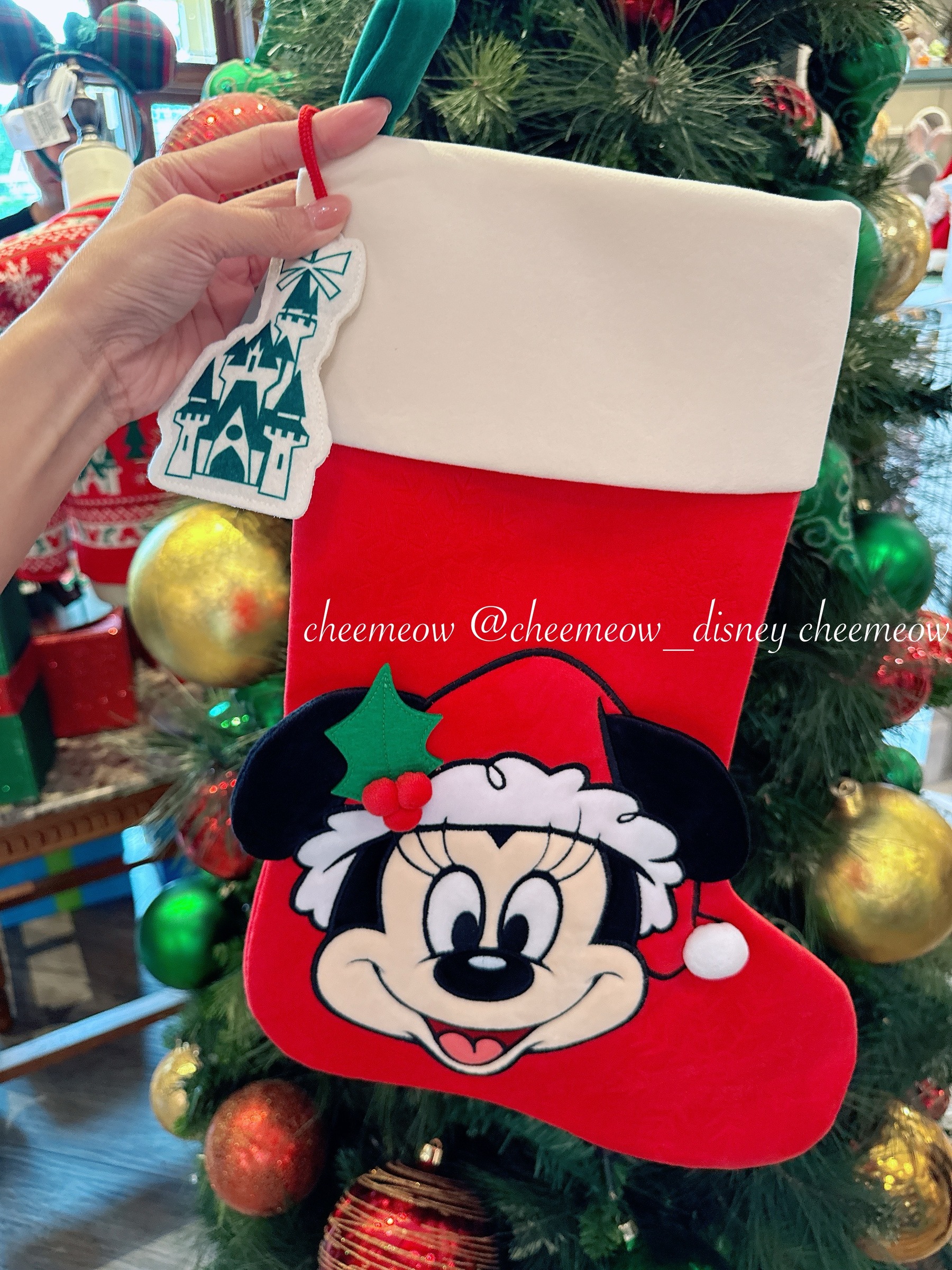 image_E6EFAF1B-082D-4D9E-8F4F-F1500243F2A8_1764738811