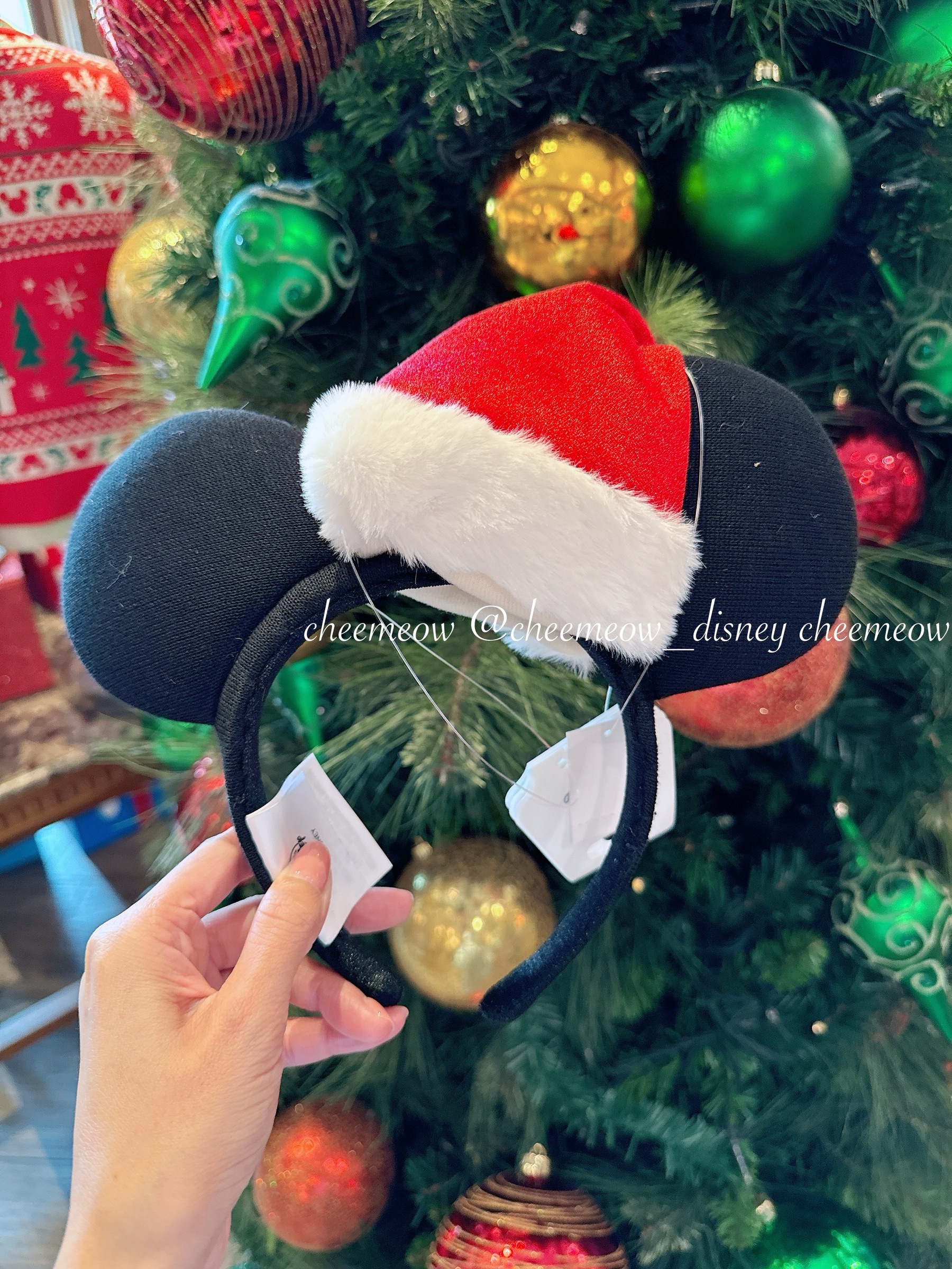 image_29E2B654-7EDA-4FD0-9E13-D6F0EA52703D_1764738908