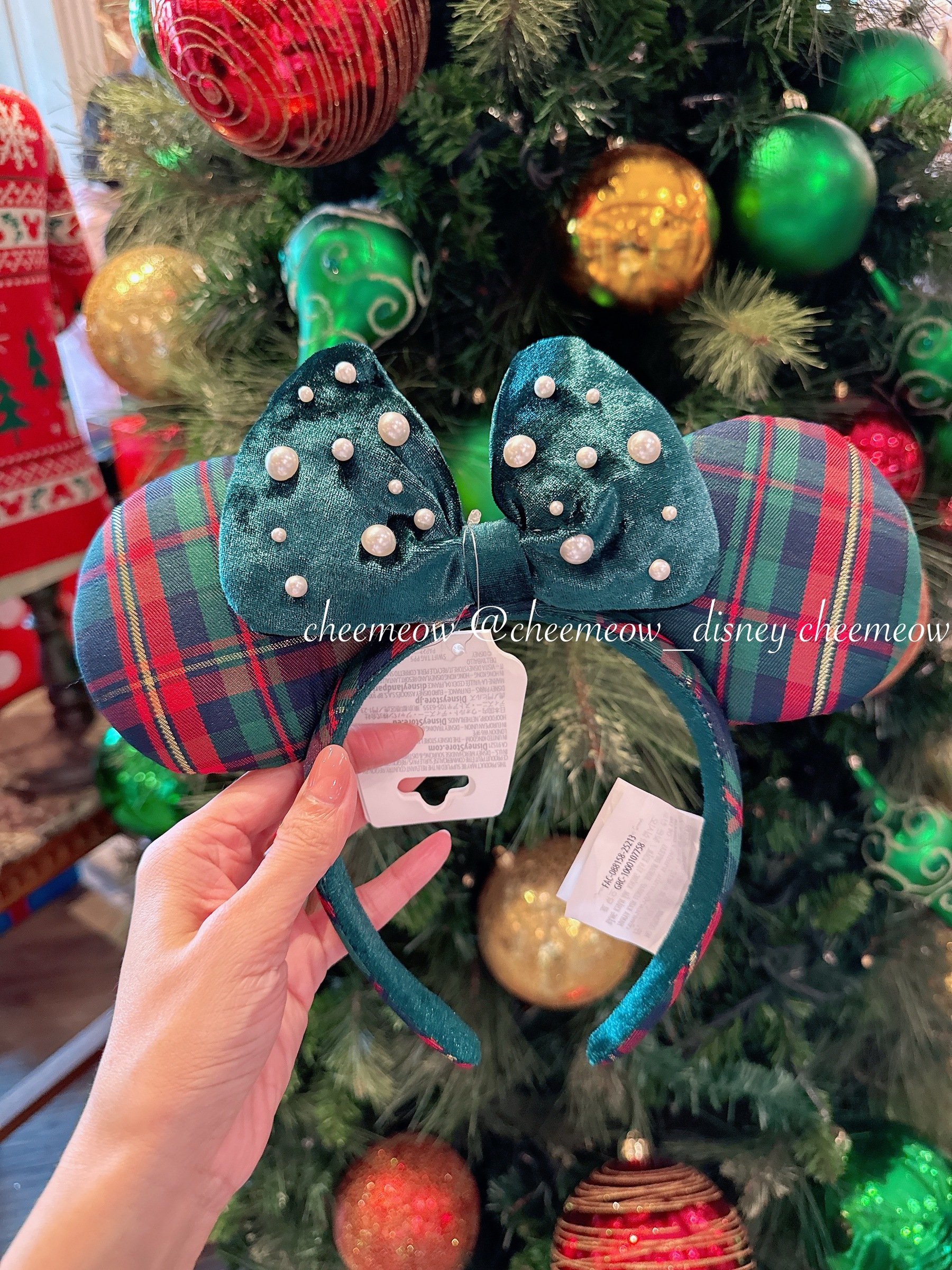 image_7725FBD7-E23F-446B-BEDD-B8437A150115_1764738994