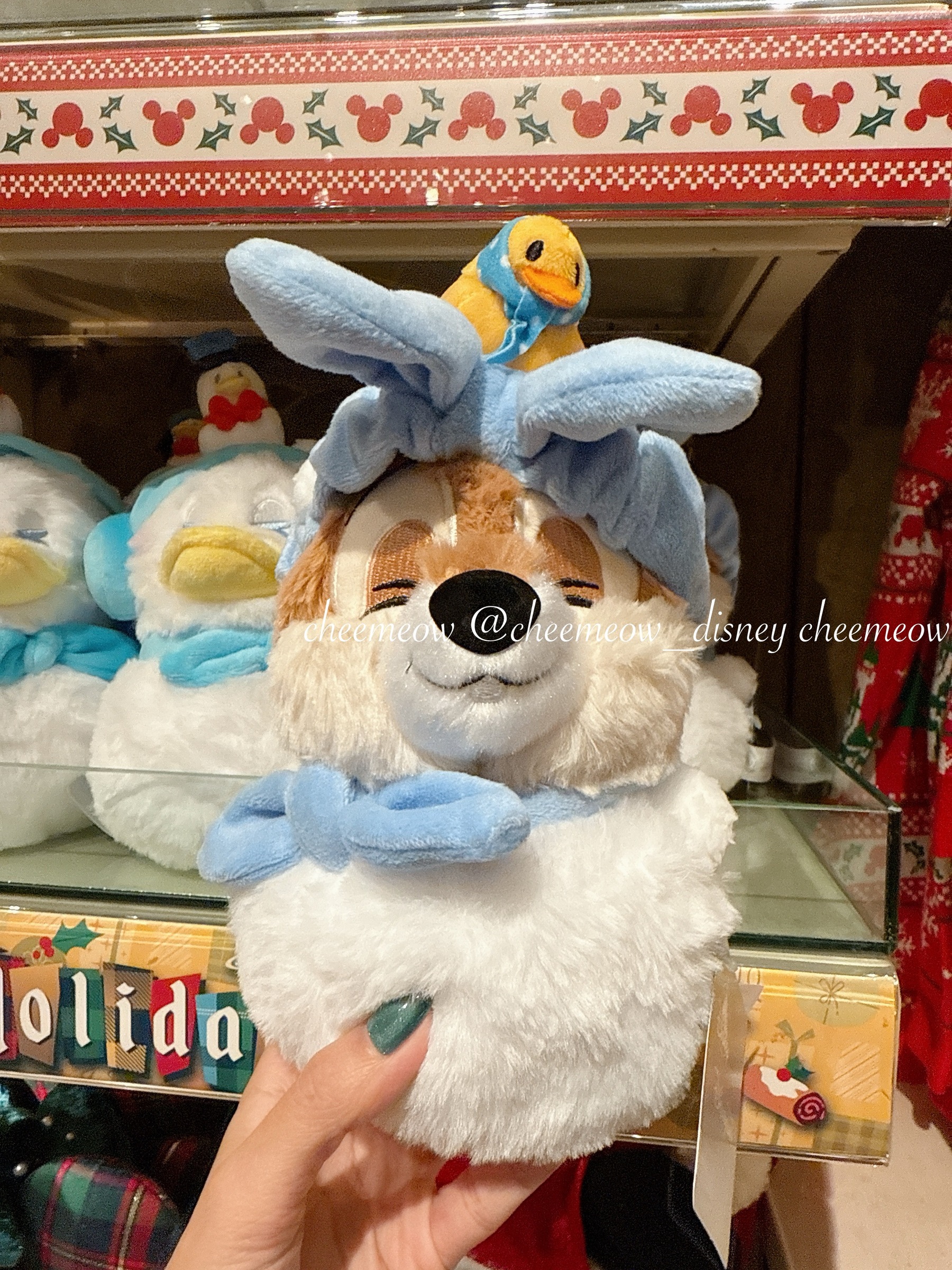 image_6D172E34-ECAC-4058-A53D-D3D4E02CAD79_1764776231