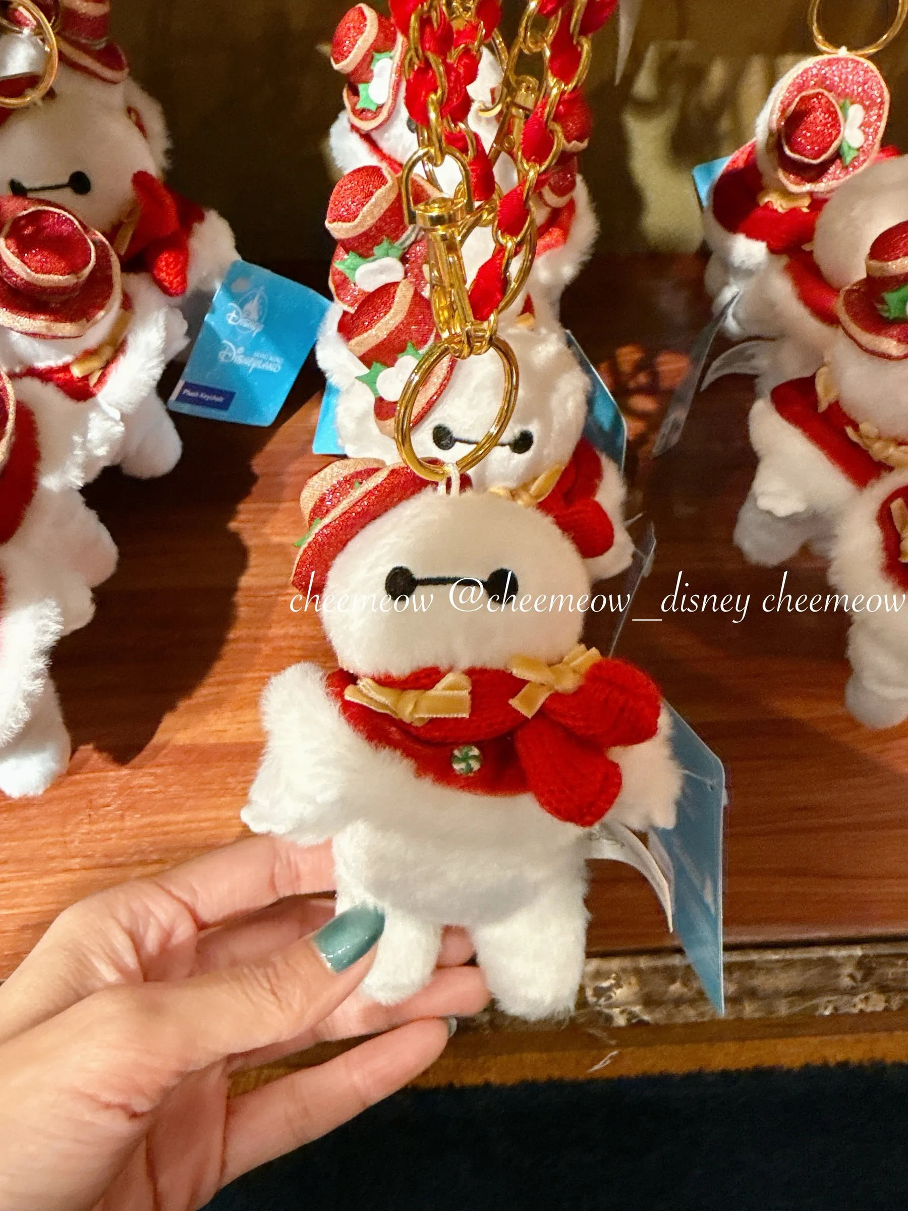 image_B6A01AE3-8BBC-4221-8A7A-340666492713_1764776325