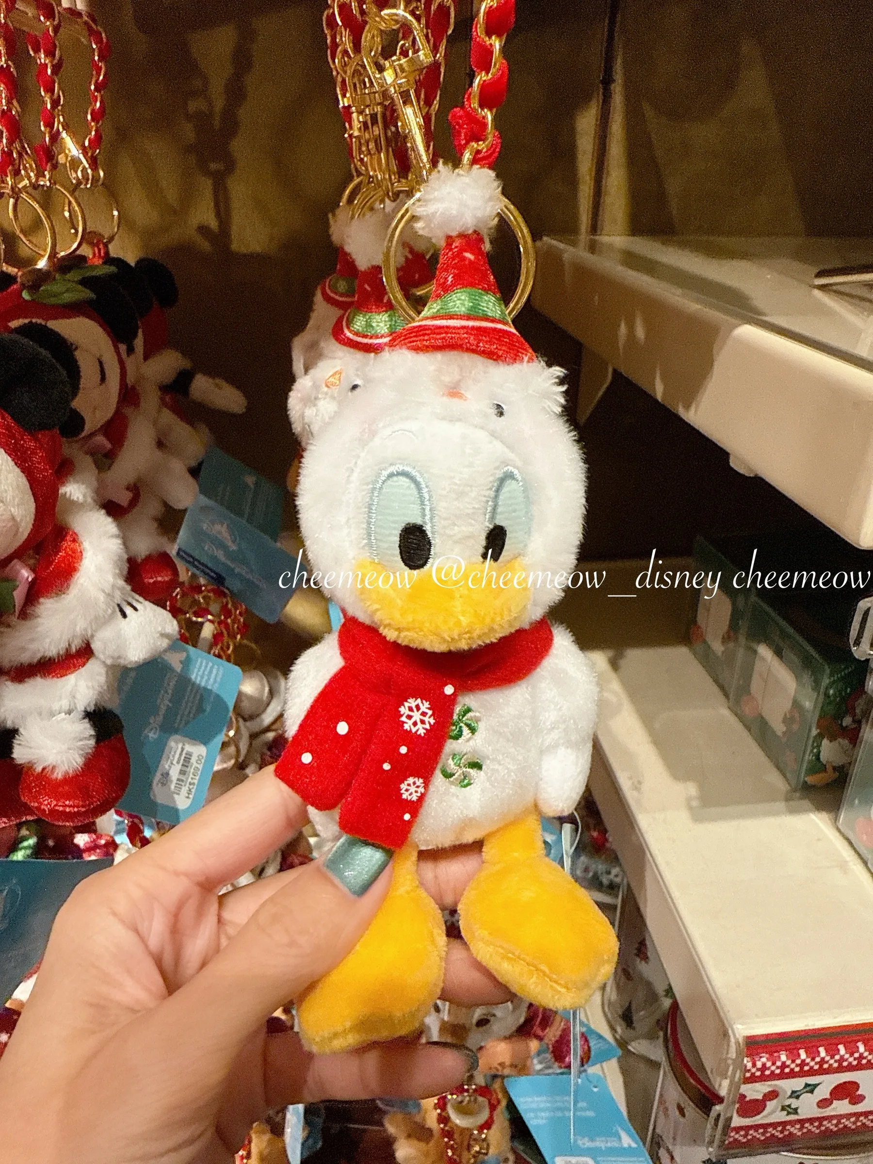 image_E6A967A0-E8C5-4DB1-86E8-250061413851_1764776509